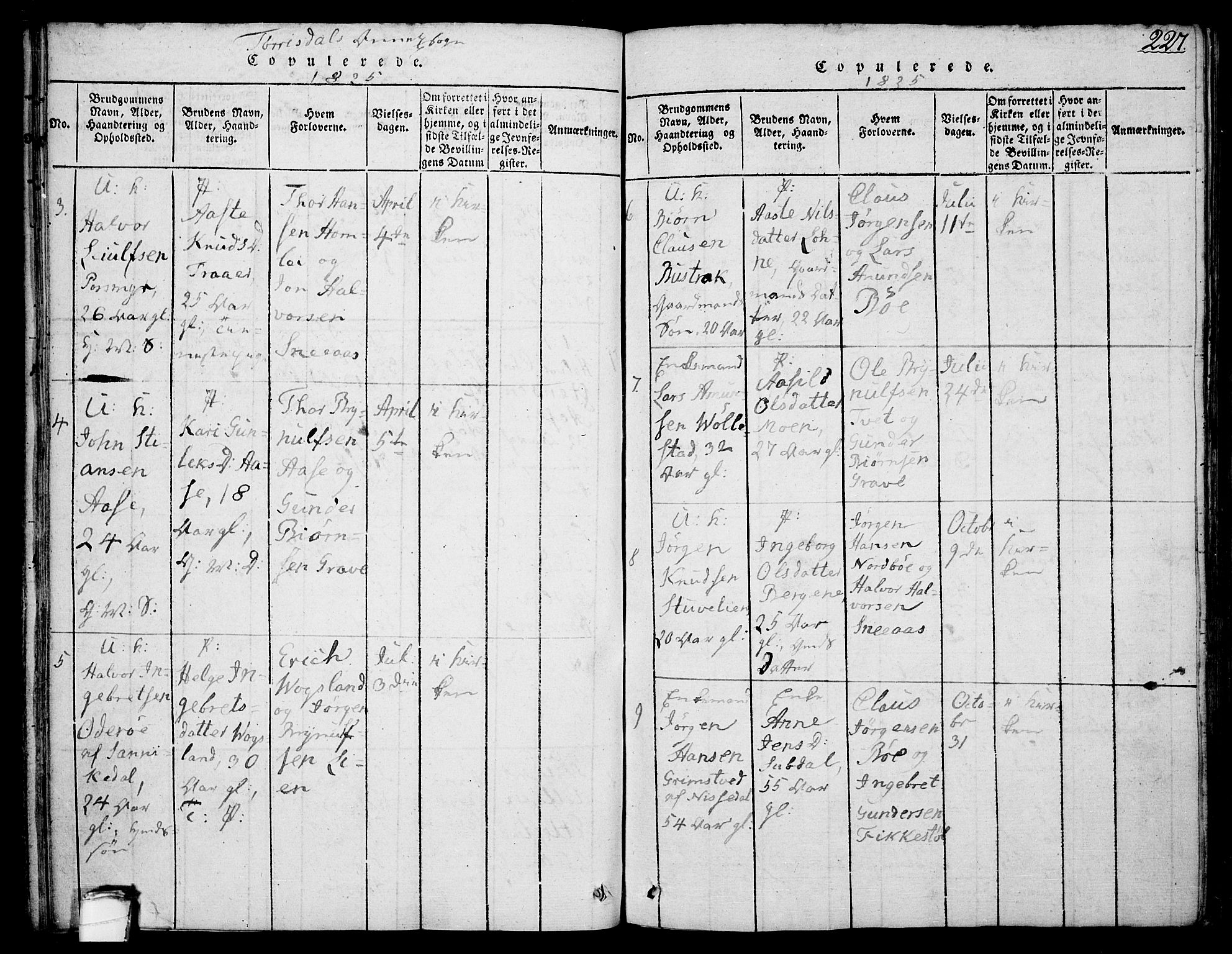 Drangedal kirkebøker, SAKO/A-258/F/Fa/L0005: Parish register (official) no. 5 /2, 1814-1831, p. 227