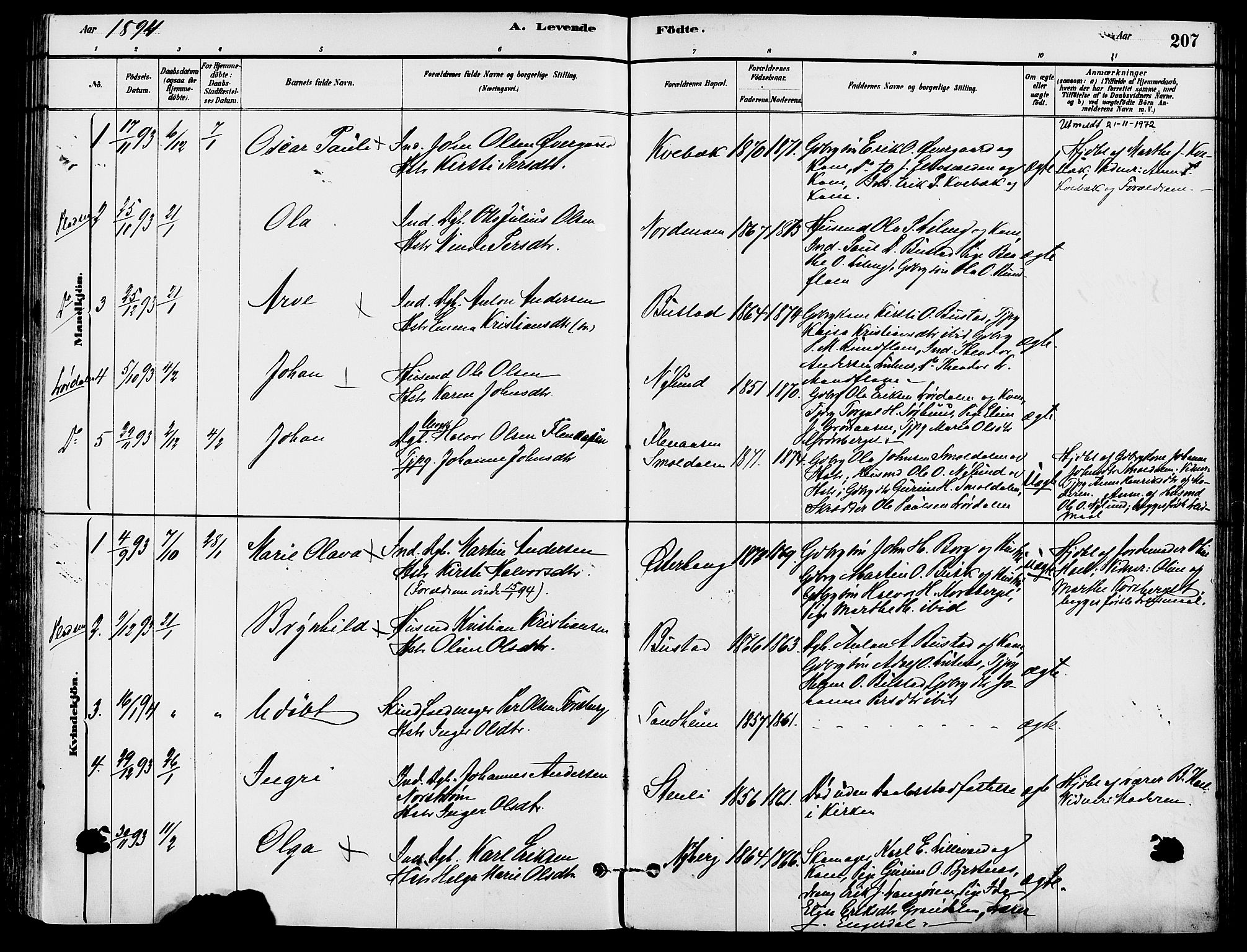 Trysil prestekontor, SAH/PREST-046/H/Ha/Haa/L0008: Parish register (official) no. 8, 1881-1897, p. 207