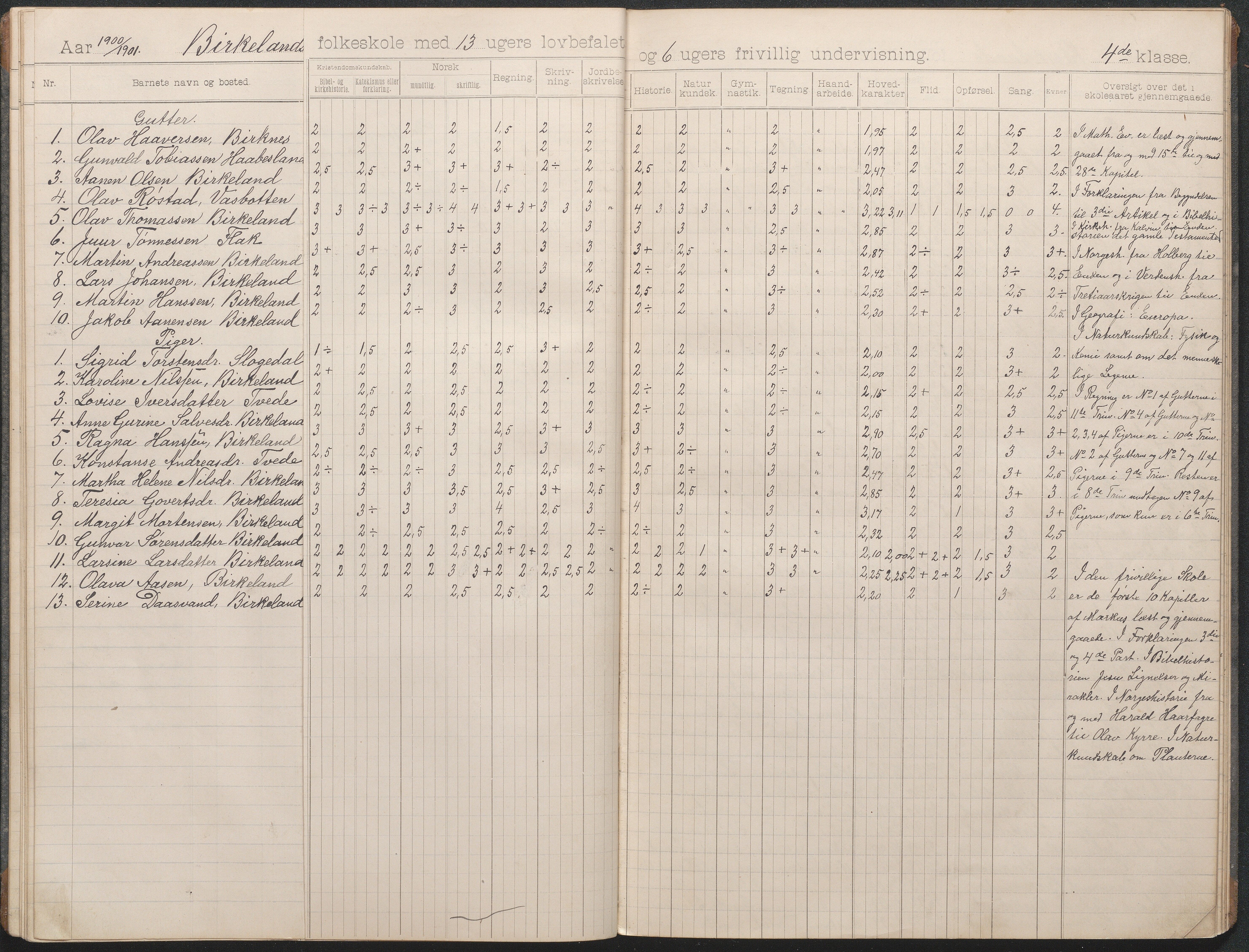 Birkenes kommune, Birkenes krets/Birkeland folkeskole frem til 1991, AAKS/KA0928-550a_91/F02/L0004: Skoleprotokoll, 1896-1907