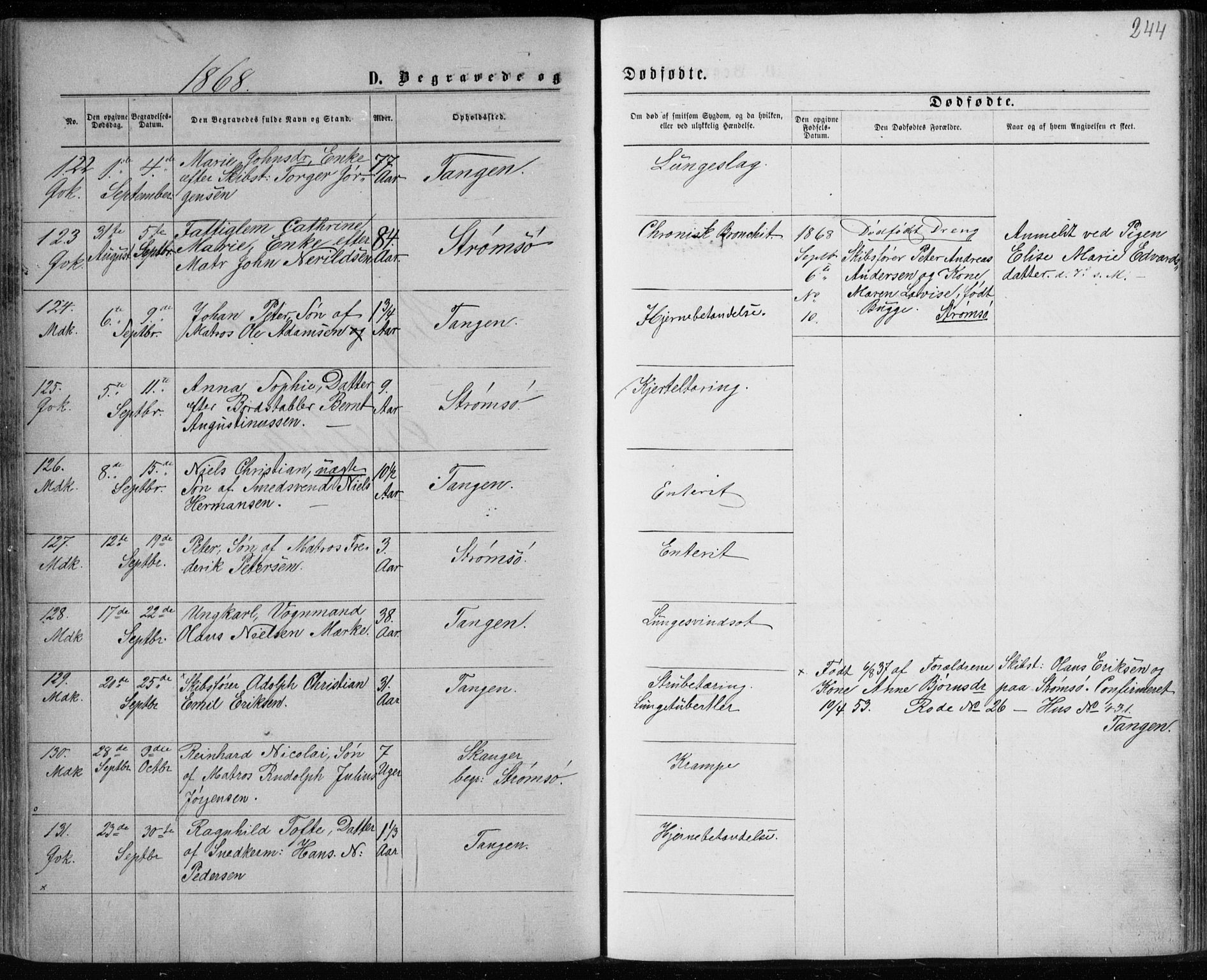 Strømsø kirkebøker, SAKO/A-246/F/Fa/L0016: Parish register (official) no. I 16, 1868-1873, p. 244