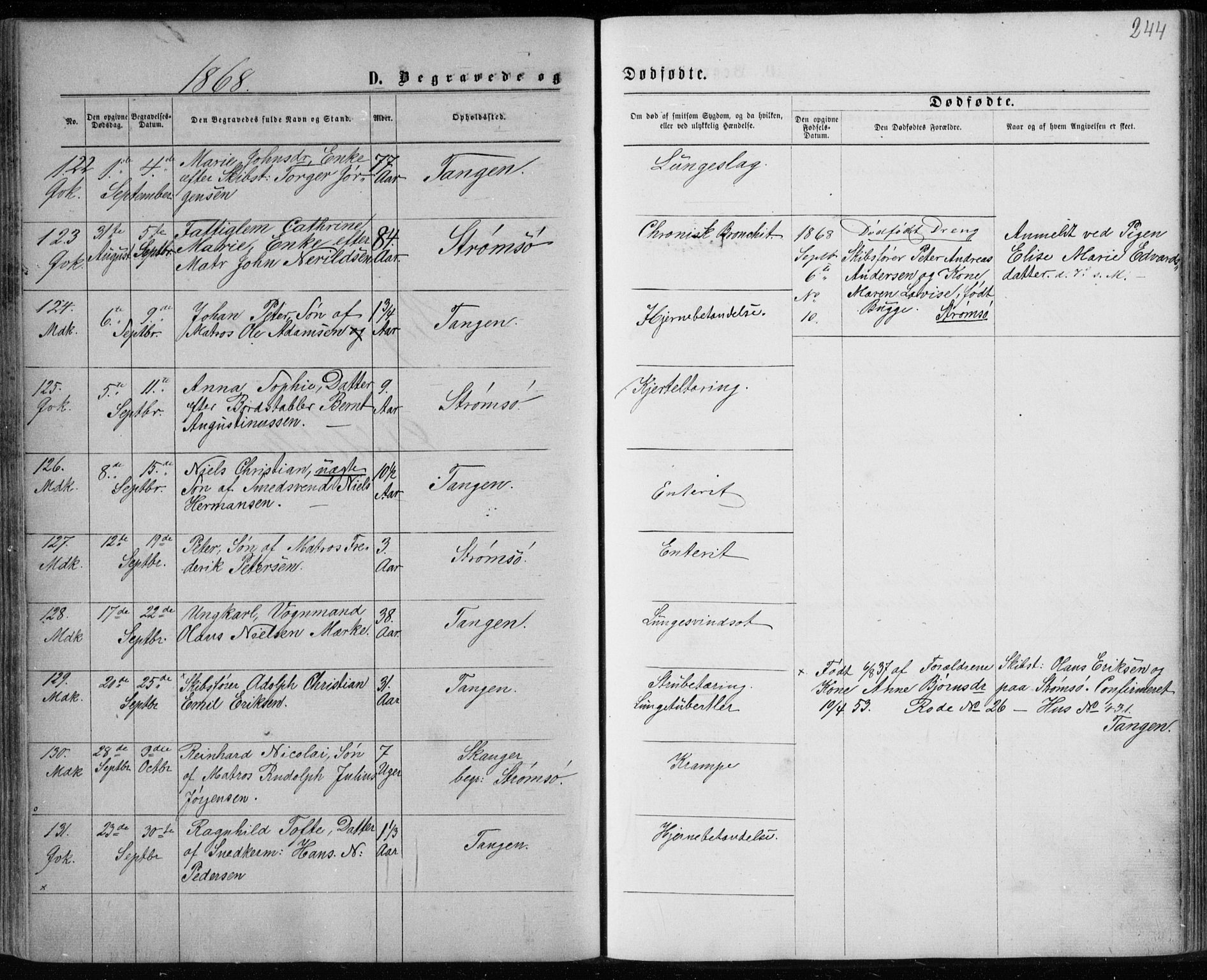 Strømsø kirkebøker, AV/SAKO-A-246/F/Fa/L0016: Parish register (official) no. I 16, 1868-1873, p. 244