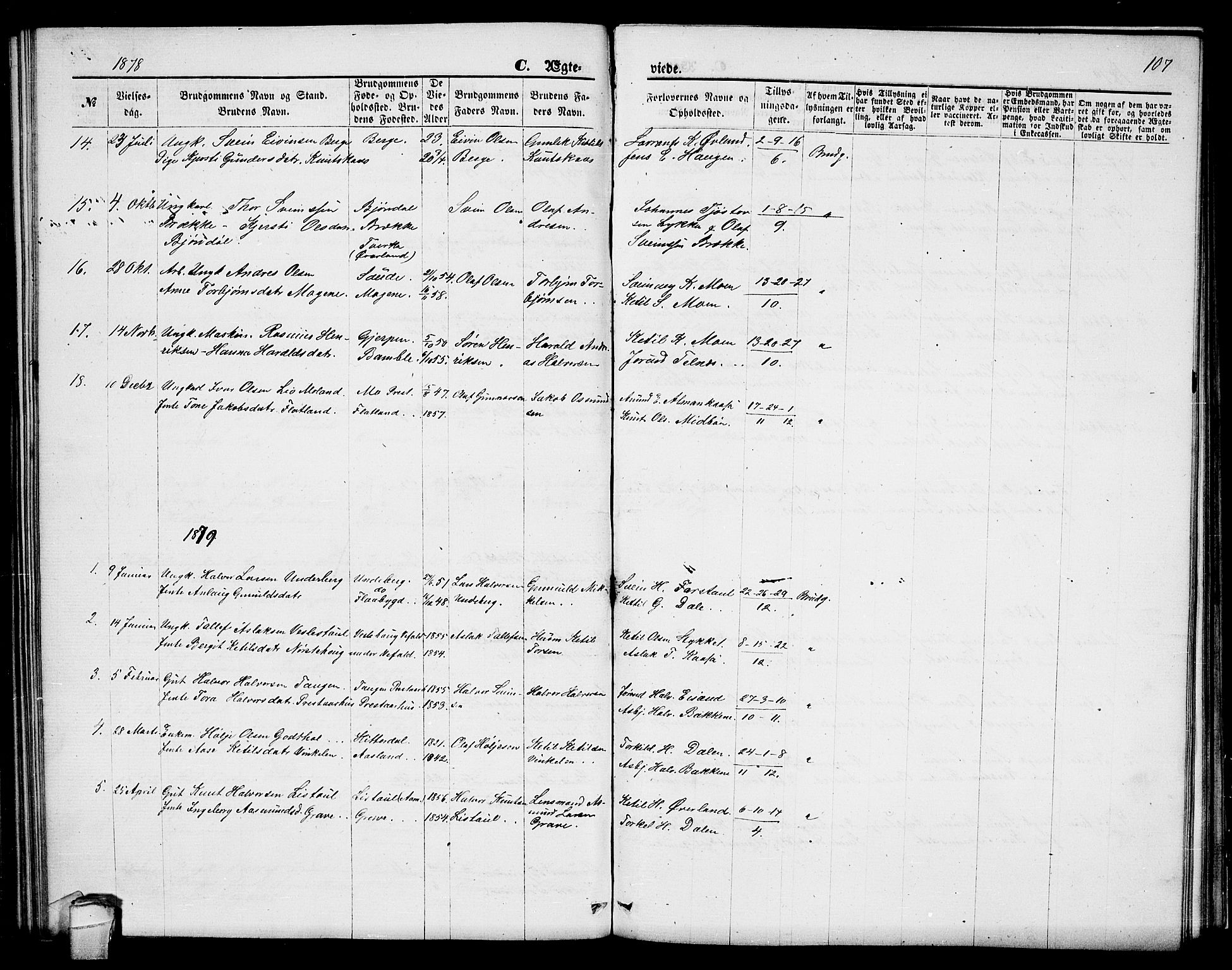 Seljord kirkebøker, SAKO/A-20/G/Ga/L0004: Parish register (copy) no. I 4, 1873-1886, p. 107