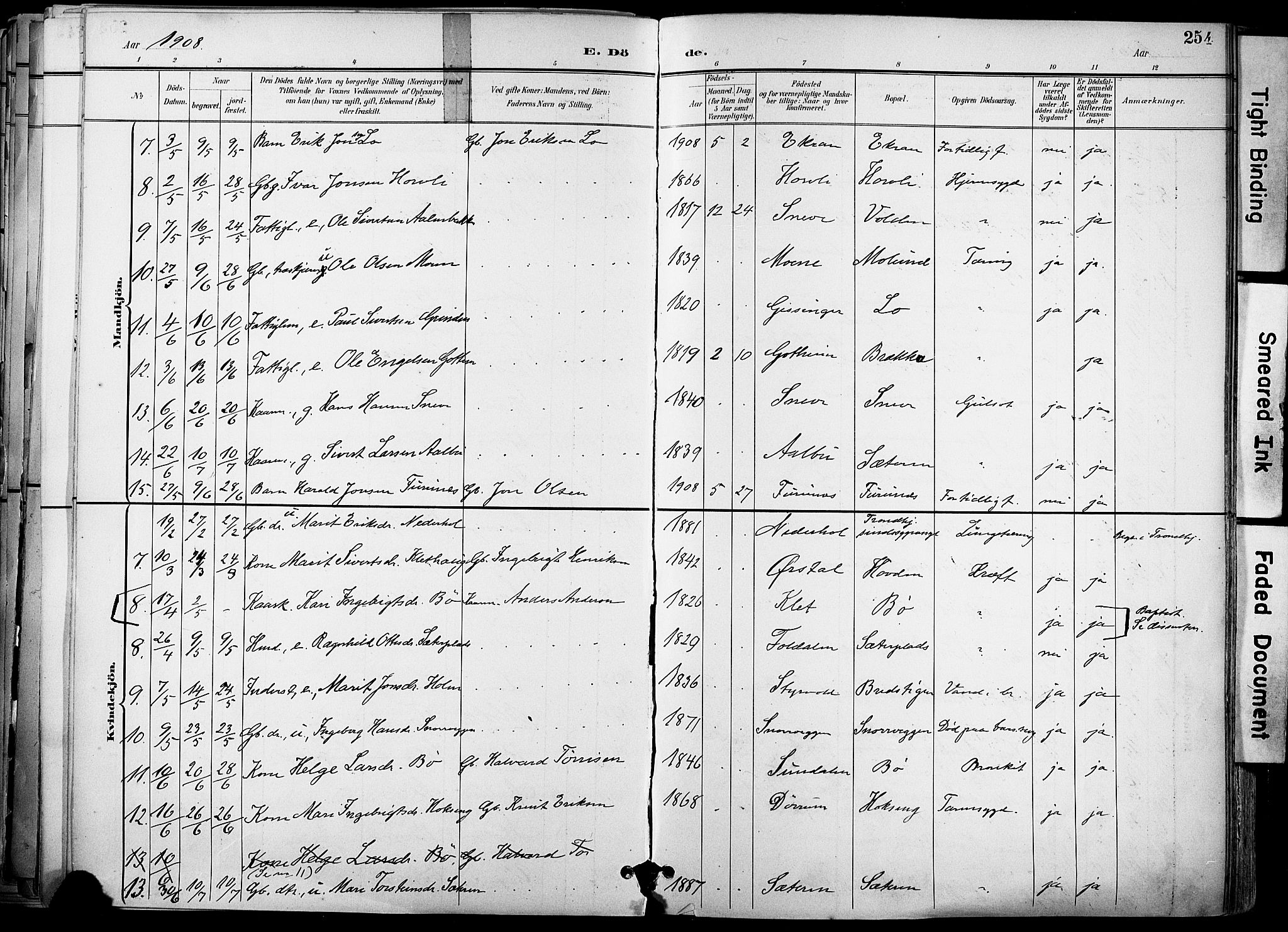 Ministerialprotokoller, klokkerbøker og fødselsregistre - Sør-Trøndelag, SAT/A-1456/678/L0902: Parish register (official) no. 678A11, 1895-1911, p. 254