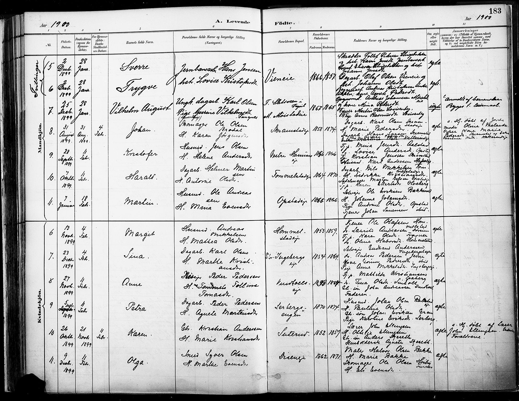 Vang prestekontor, Hedmark, AV/SAH-PREST-008/H/Ha/Haa/L0019A: Parish register (official) no. 19, 1886-1900, p. 183