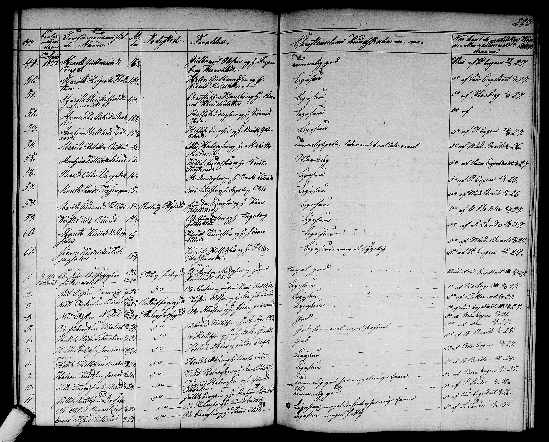 Flesberg kirkebøker, SAKO/A-18/G/Ga/L0002: Parish register (copy) no. I 2, 1834-1860, p. 223