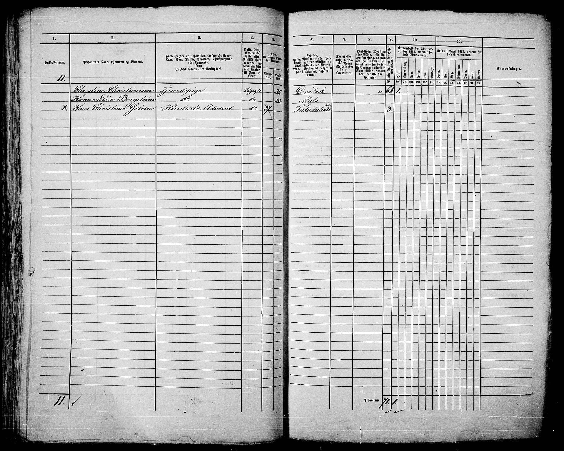 RA, 1865 census for Kristiania, 1865, p. 254