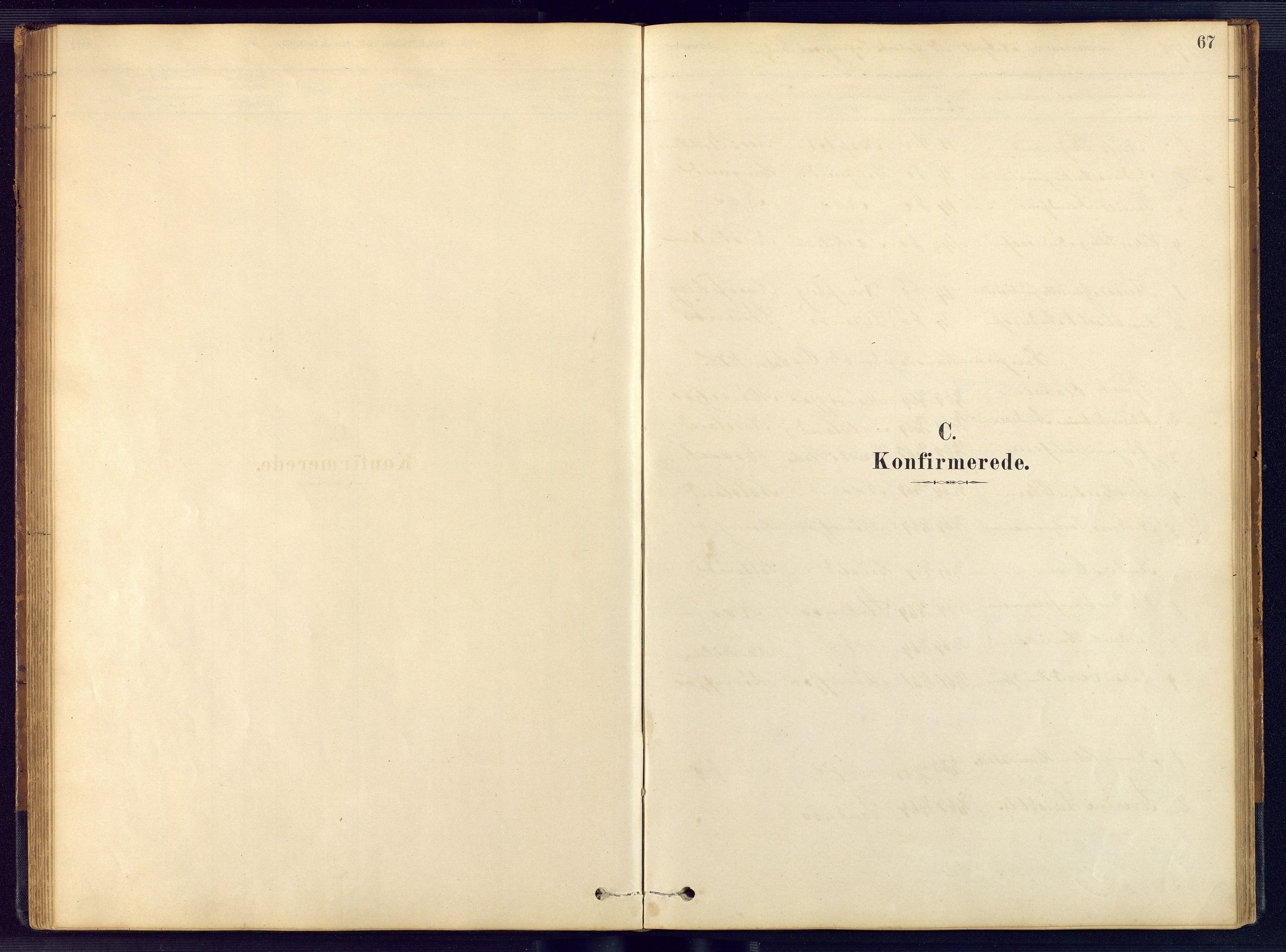Austre Moland sokneprestkontor, SAK/1111-0001/F/Fb/Fbb/L0001: Parish register (copy) no. B 1, 1878-1904, p. 67