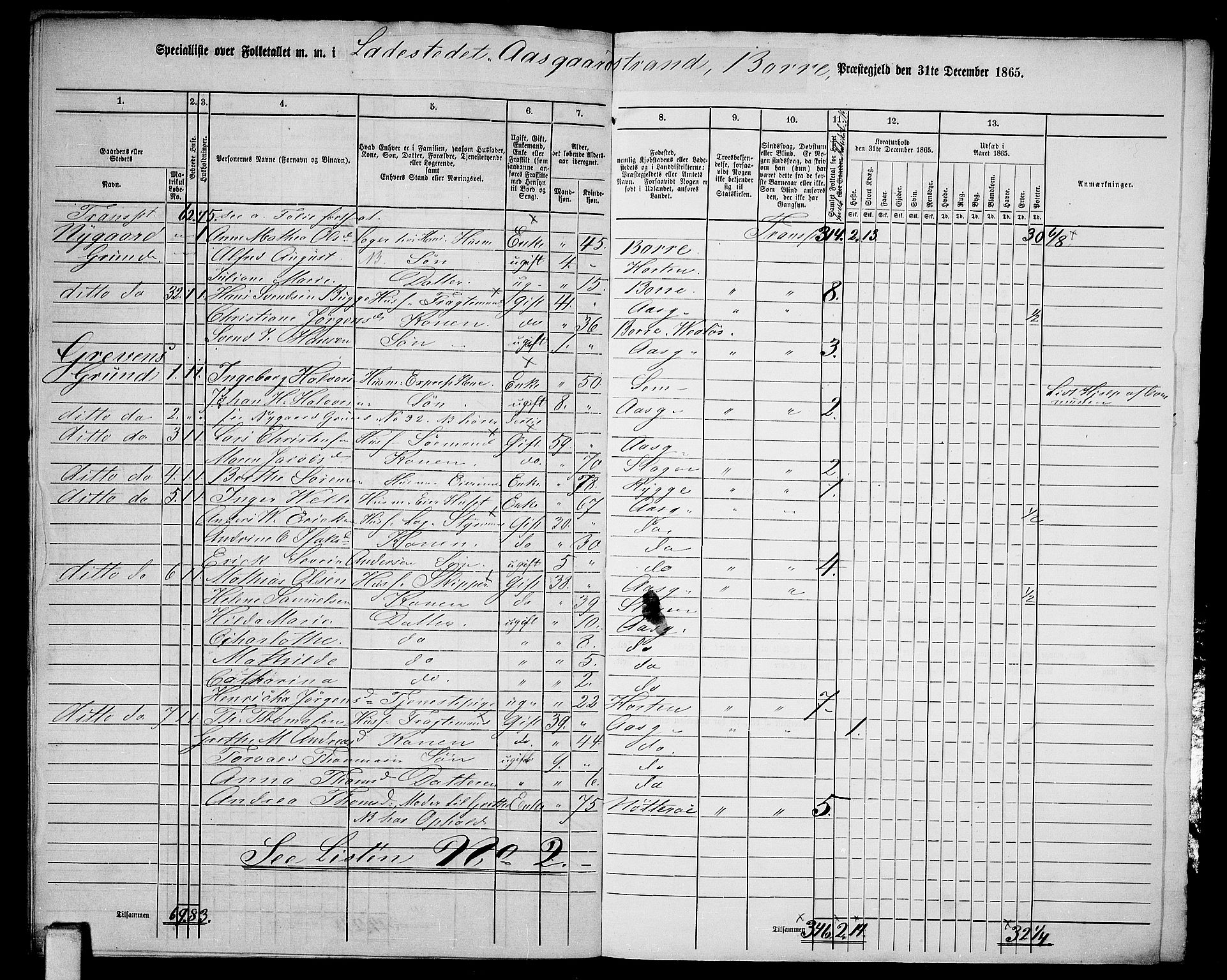 RA, 1865 census for Borre, 1865, p. 16