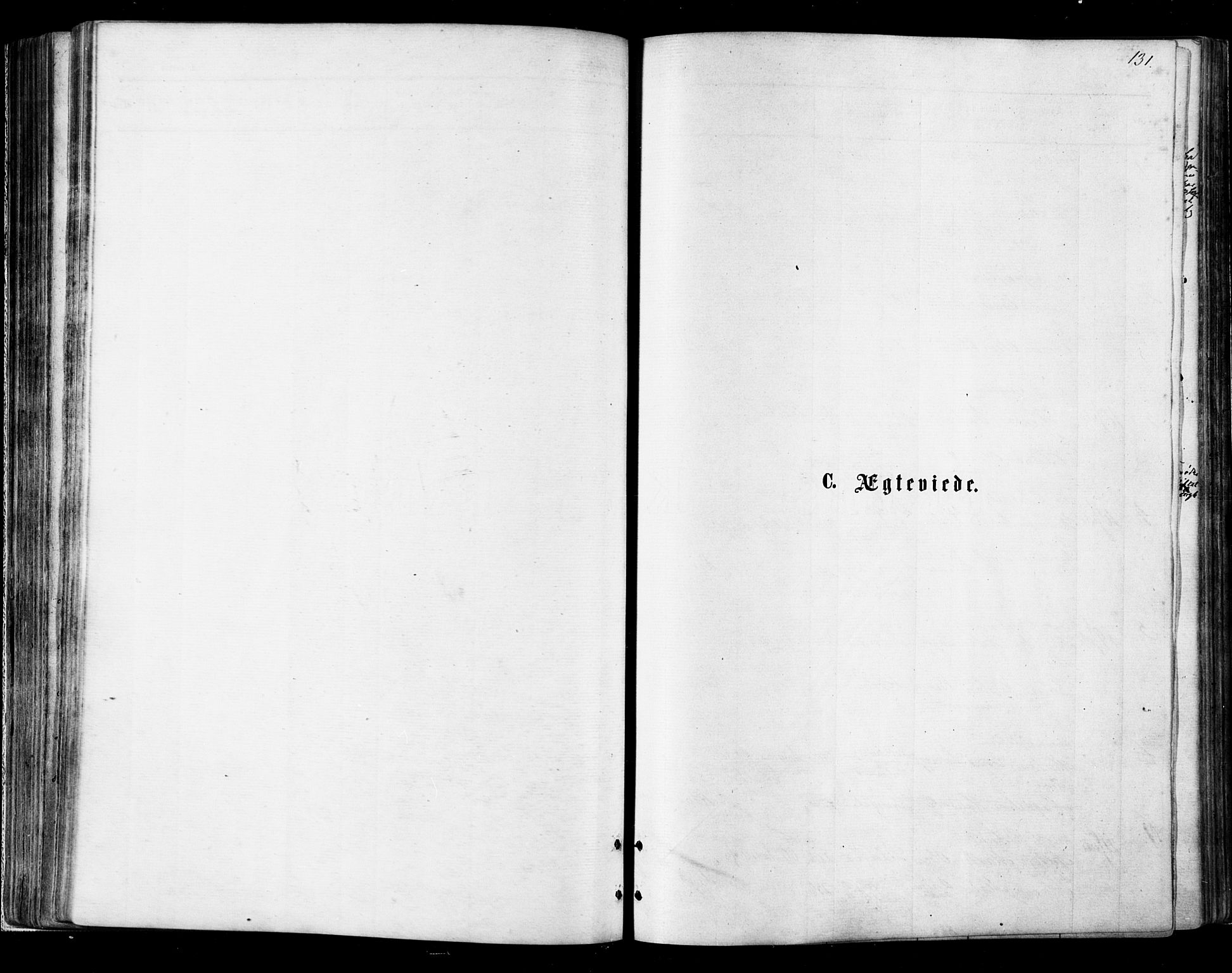 Ministerialprotokoller, klokkerbøker og fødselsregistre - Nordland, SAT/A-1459/895/L1370: Parish register (official) no. 895A05, 1873-1884, p. 131