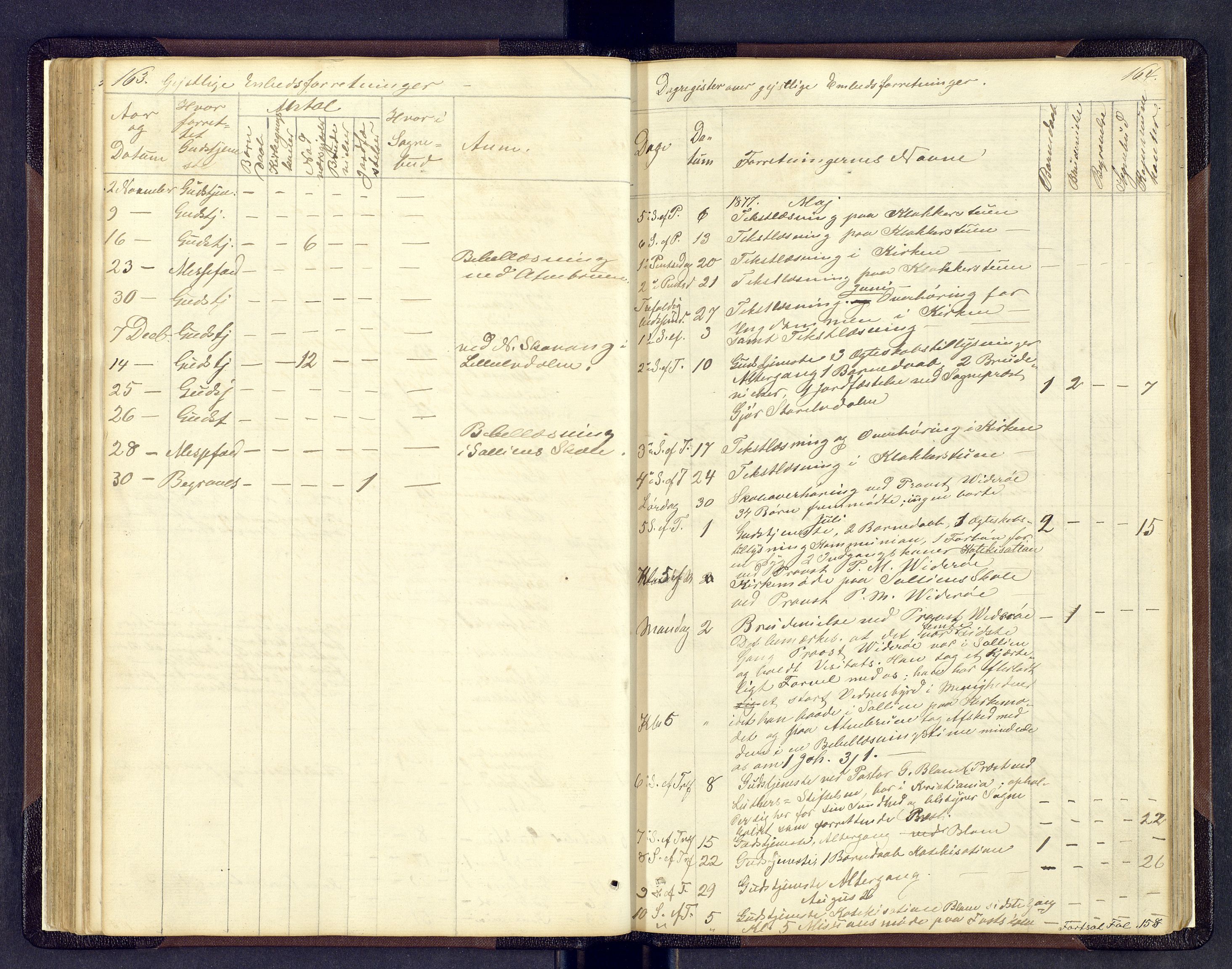 Sollia prestekontor, SAH/PREST-050/H/Ha/Hab/L0001: Parish register (copy) no. 1, 1862-1879, p. 163-164