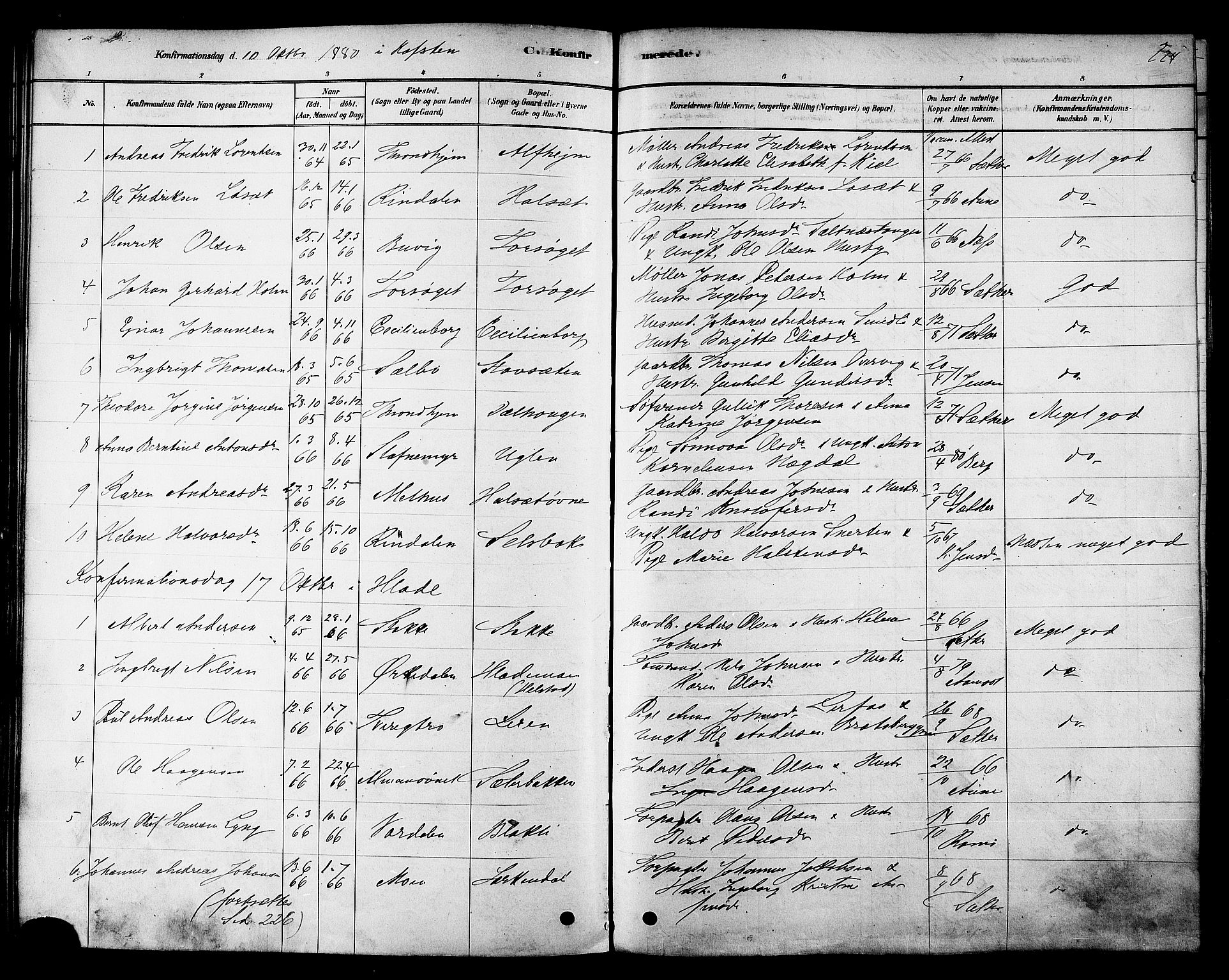 Ministerialprotokoller, klokkerbøker og fødselsregistre - Sør-Trøndelag, SAT/A-1456/606/L0294: Parish register (official) no. 606A09, 1878-1886, p. 224