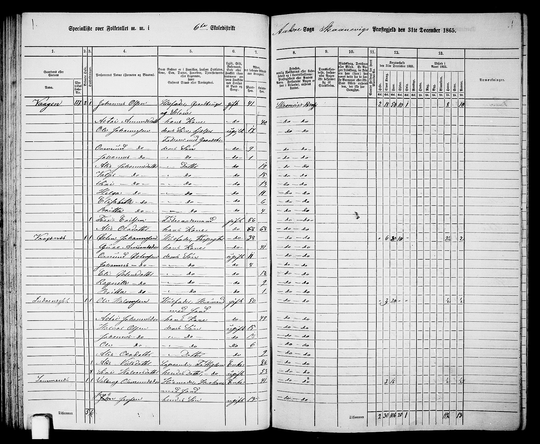 RA, 1865 census for Skånevik, 1865, p. 87