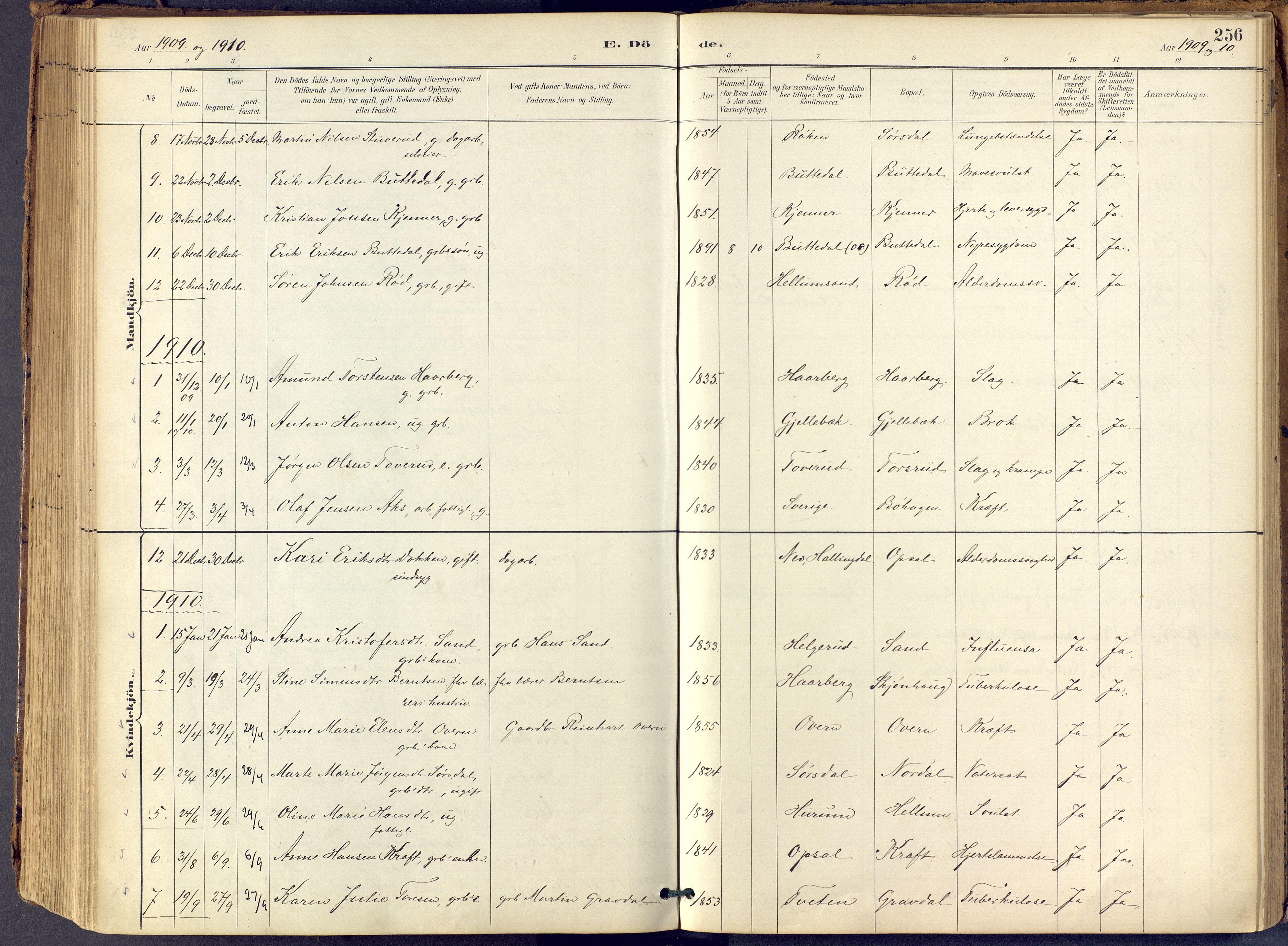 Lier kirkebøker, AV/SAKO-A-230/F/Fb/L0001: Parish register (official) no. II 1, 1883-1910, p. 256