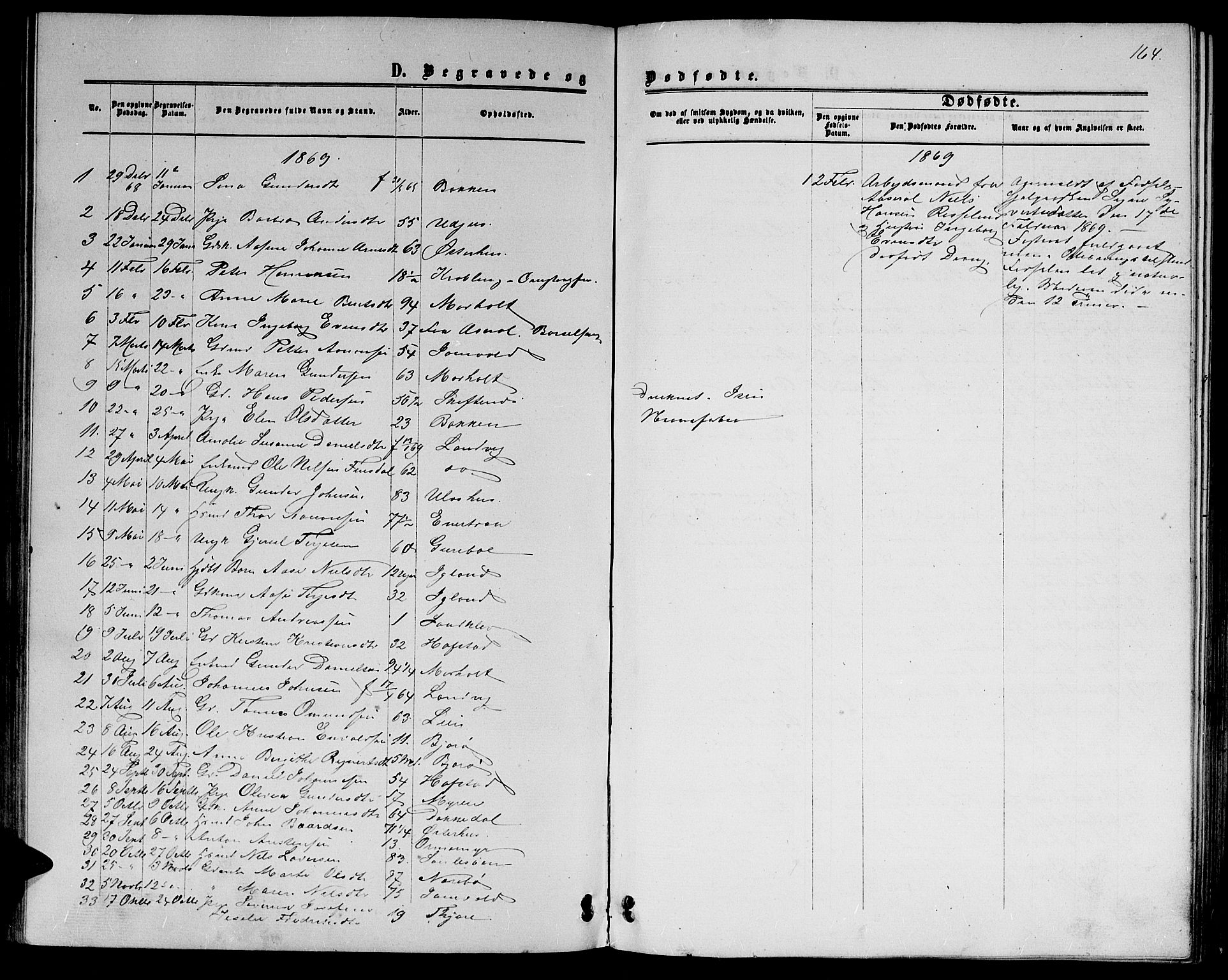 Hommedal sokneprestkontor, AV/SAK-1111-0023/F/Fb/Fbb/L0006: Parish register (copy) no. B 6, 1869-1884, p. 164