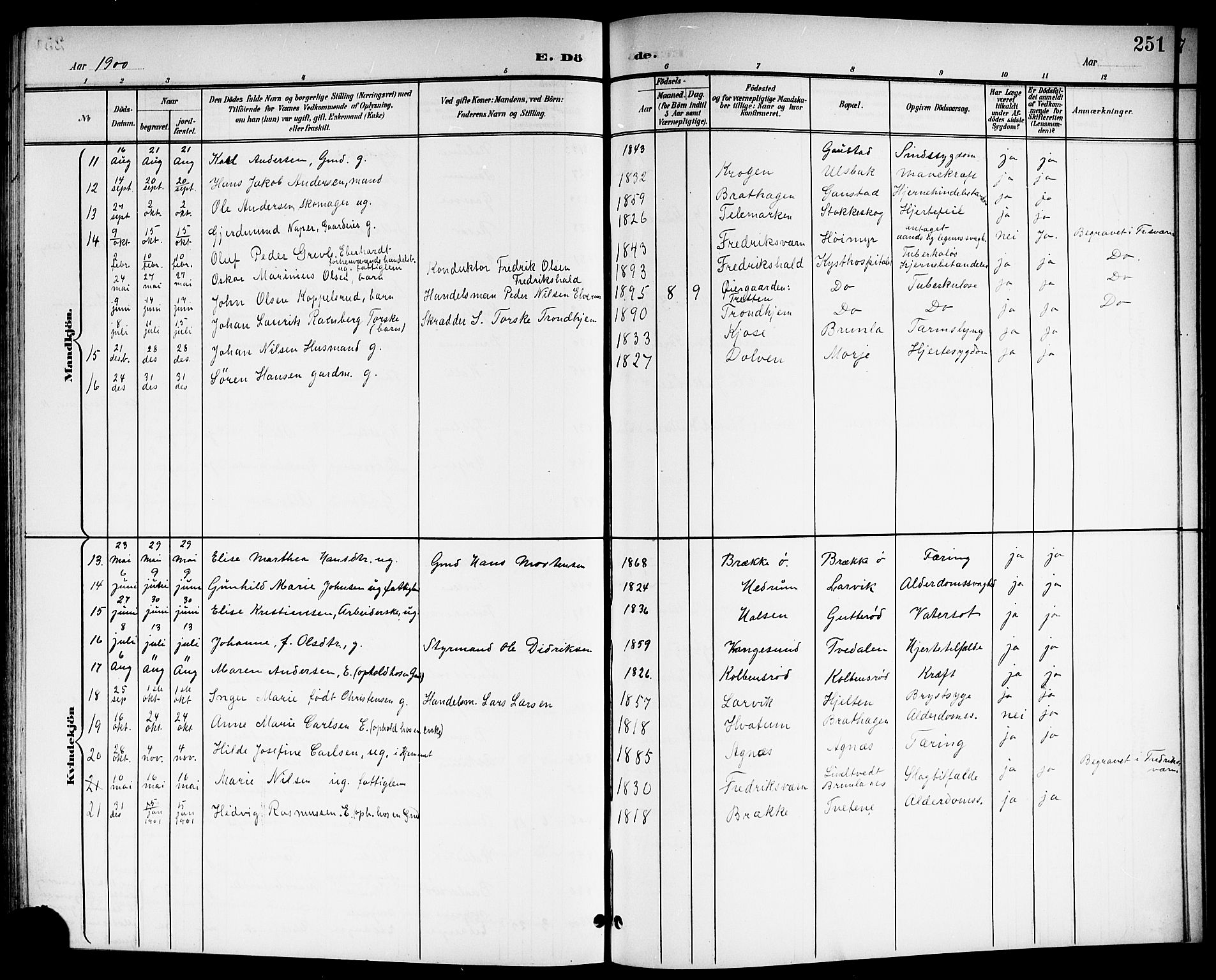 Brunlanes kirkebøker, SAKO/A-342/G/Ga/L0004: Parish register (copy) no. I 4, 1898-1921, p. 251