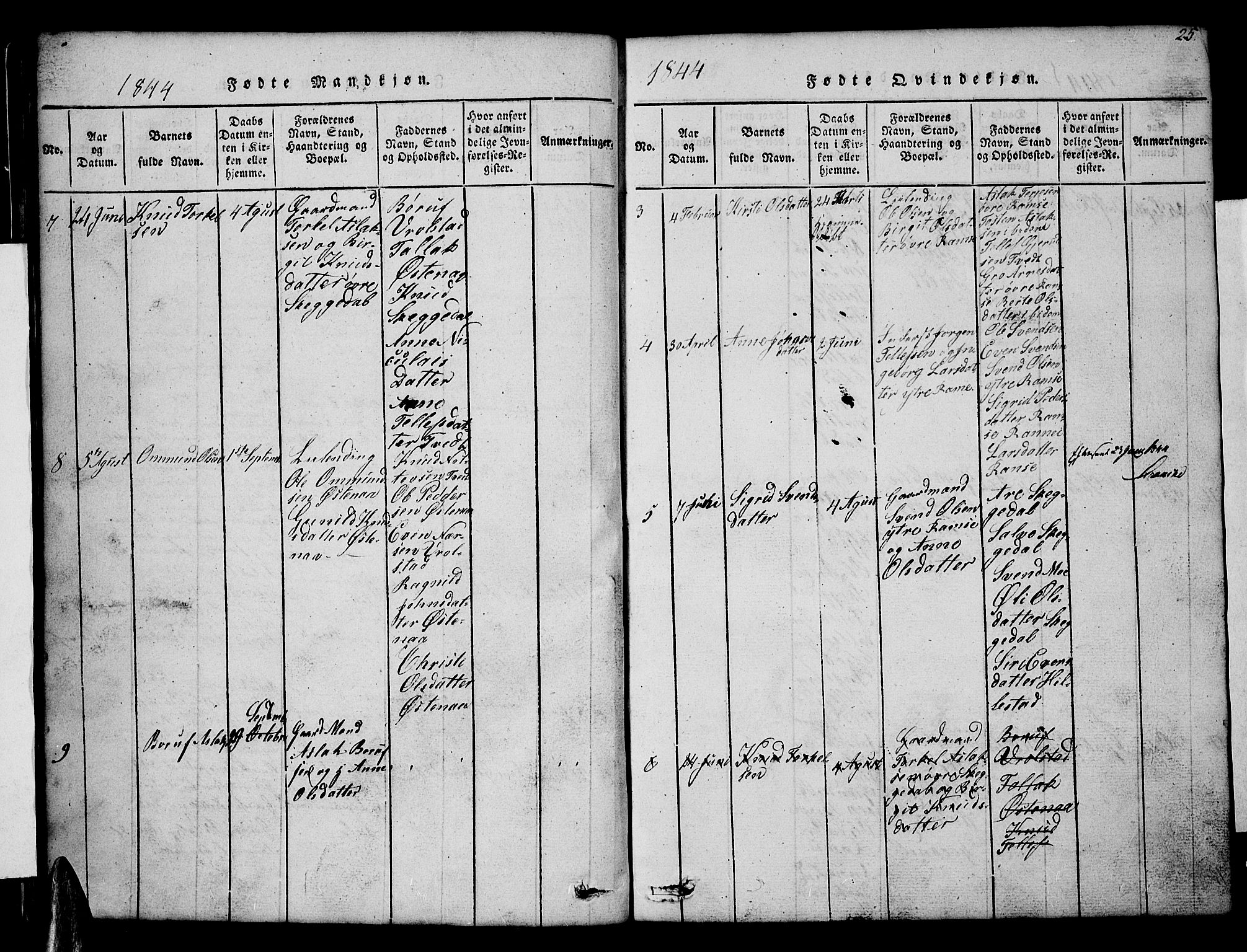 Åmli sokneprestkontor, AV/SAK-1111-0050/F/Fb/Fbb/L0001: Parish register (copy) no. B 1, 1816-1889, p. 25