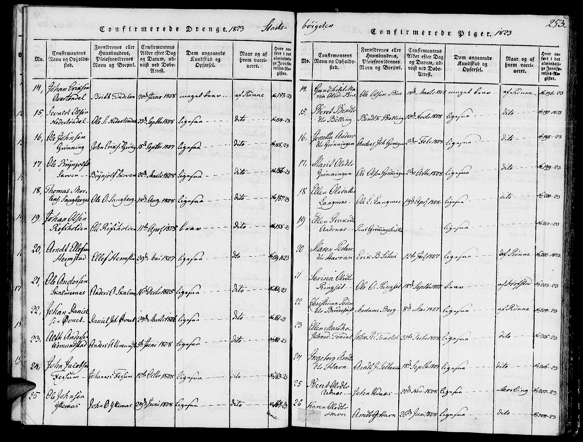 Ministerialprotokoller, klokkerbøker og fødselsregistre - Sør-Trøndelag, SAT/A-1456/646/L0608: Parish register (official) no. 646A06, 1816-1825, p. 253