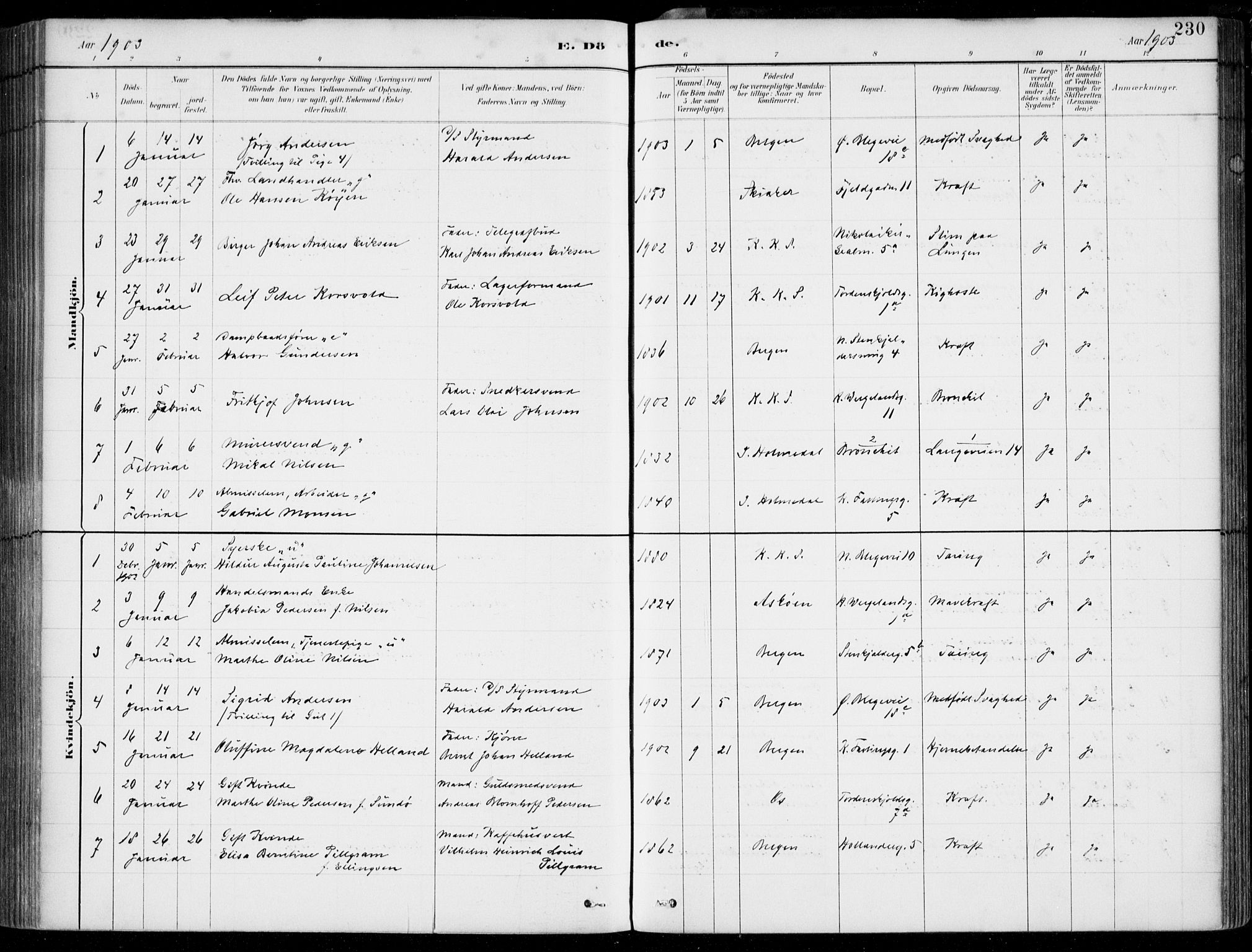Korskirken sokneprestembete, SAB/A-76101/H/Hab: Parish register (copy) no. E 4, 1884-1910, p. 230