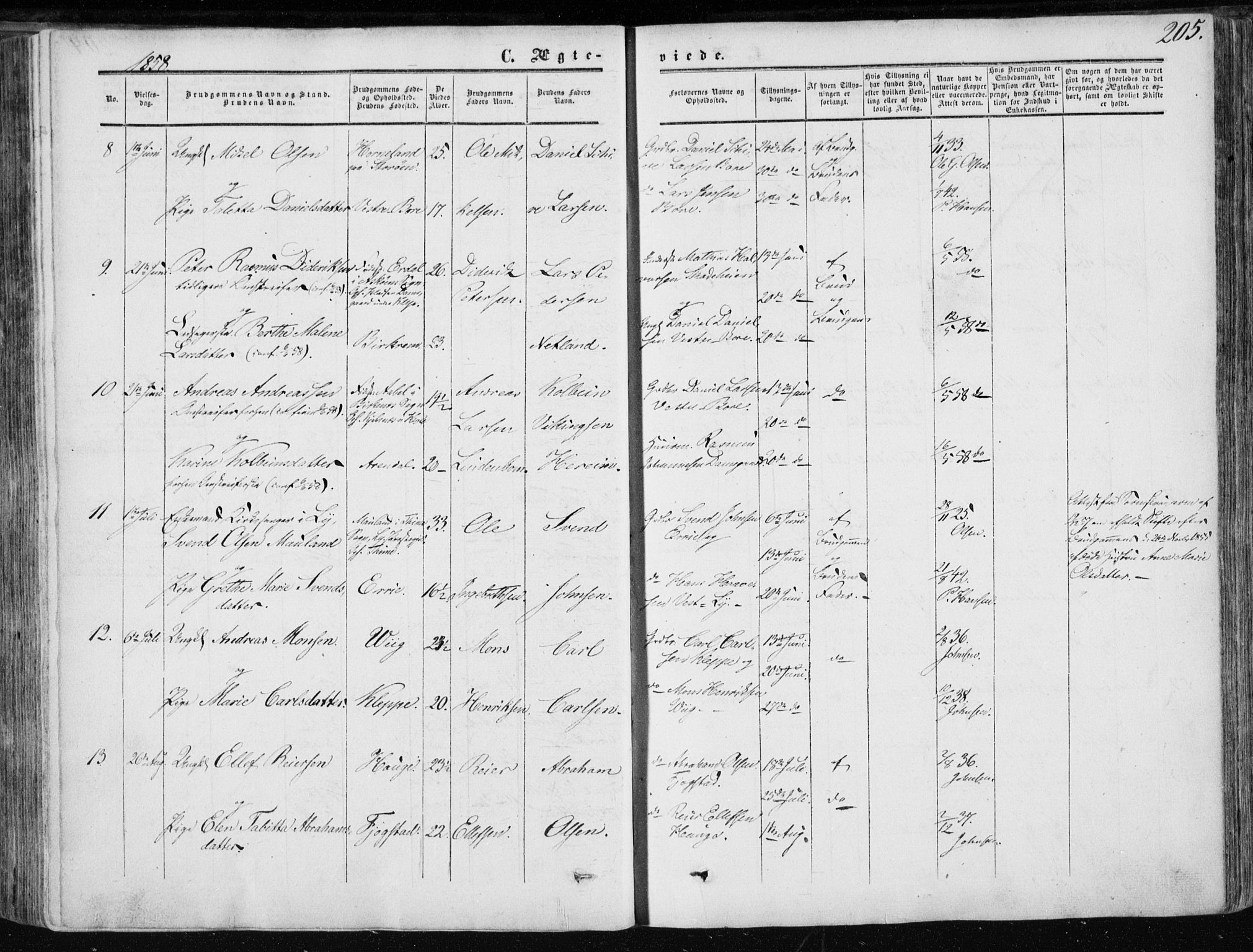 Klepp sokneprestkontor, SAST/A-101803/001/3/30BA/L0005: Parish register (official) no. A 5, 1853-1870, p. 205