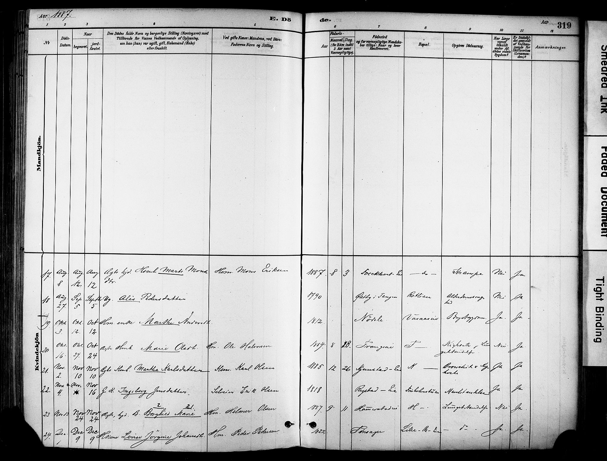 Stange prestekontor, AV/SAH-PREST-002/K/L0017: Parish register (official) no. 17, 1880-1893, p. 319