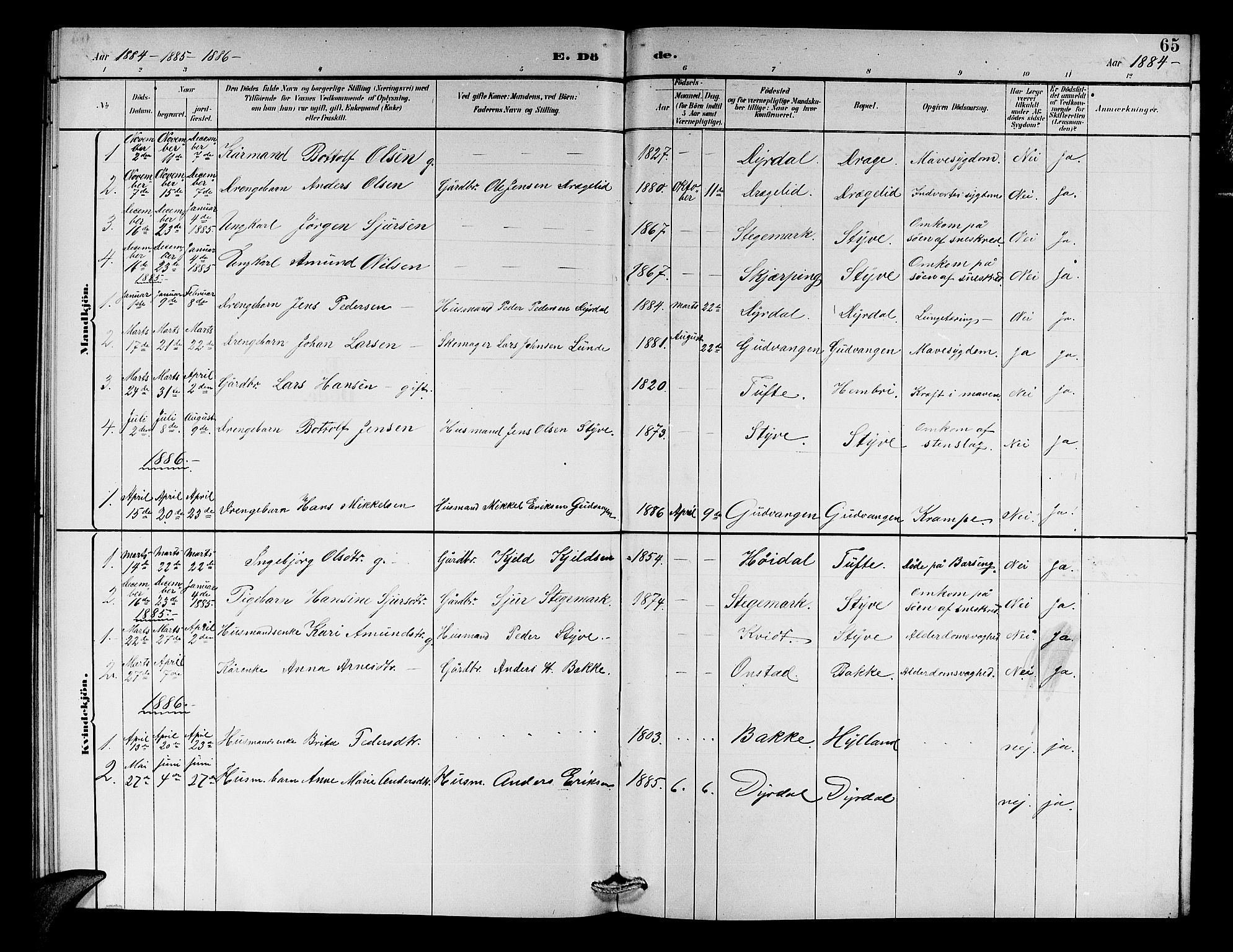 Aurland sokneprestembete, SAB/A-99937/H/Hb/Hbc/L0002: Parish register (copy) no. C 2, 1883-1900, p. 65