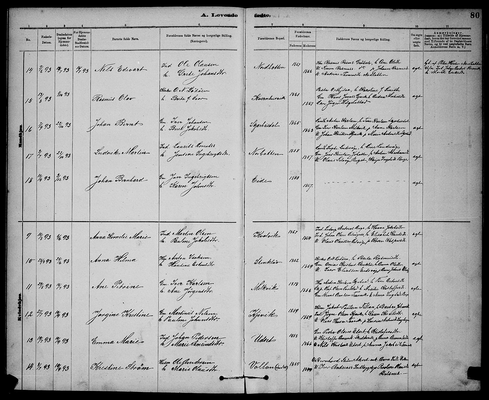 Ministerialprotokoller, klokkerbøker og fødselsregistre - Sør-Trøndelag, AV/SAT-A-1456/637/L0562: Parish register (copy) no. 637C03, 1883-1898, p. 80