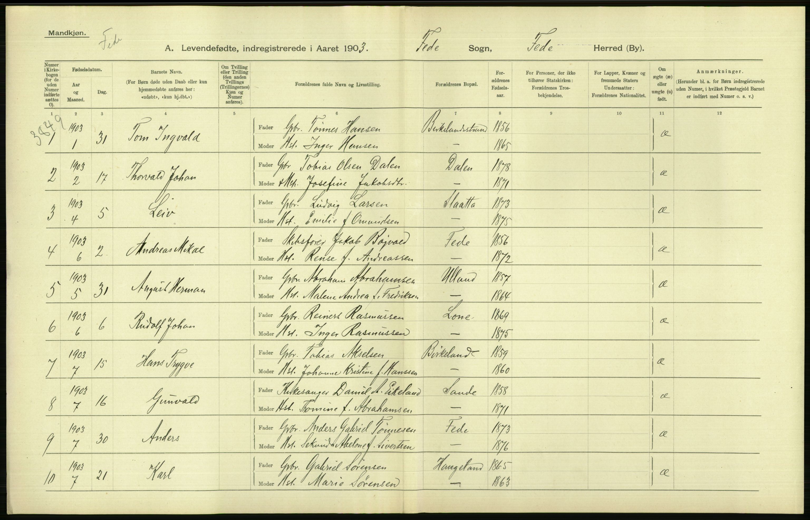 Statistisk sentralbyrå, Sosiodemografiske emner, Befolkning, AV/RA-S-2228/D/Df/Dfa/Dfaa/L0011: Lister og Mandal amt: Fødte, gifte, døde, 1903, p. 36