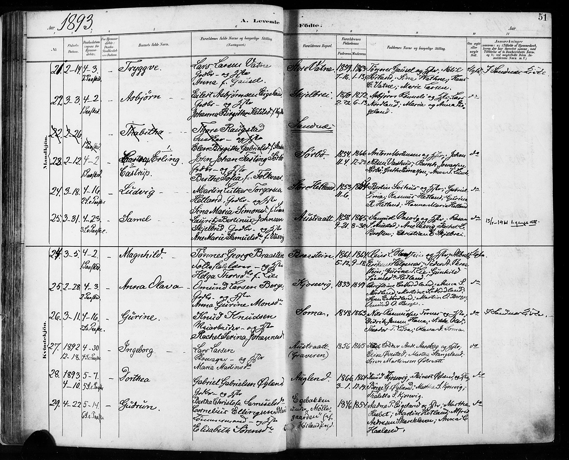 Høyland sokneprestkontor, AV/SAST-A-101799/001/30BA/L0013: Parish register (official) no. A 13.1, 1889-1898, p. 51