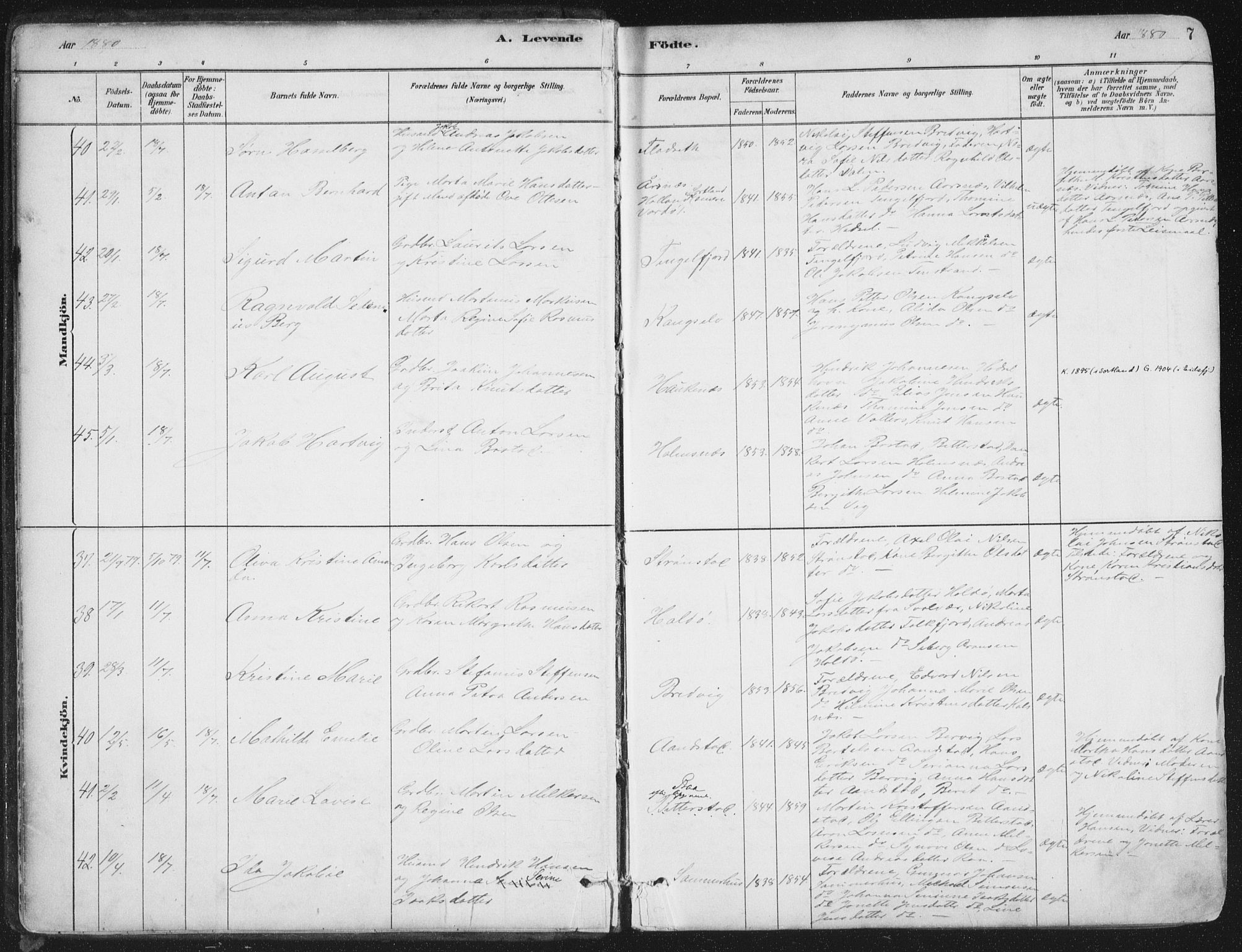 Ministerialprotokoller, klokkerbøker og fødselsregistre - Nordland, AV/SAT-A-1459/888/L1244: Parish register (official) no. 888A10, 1880-1890, p. 7