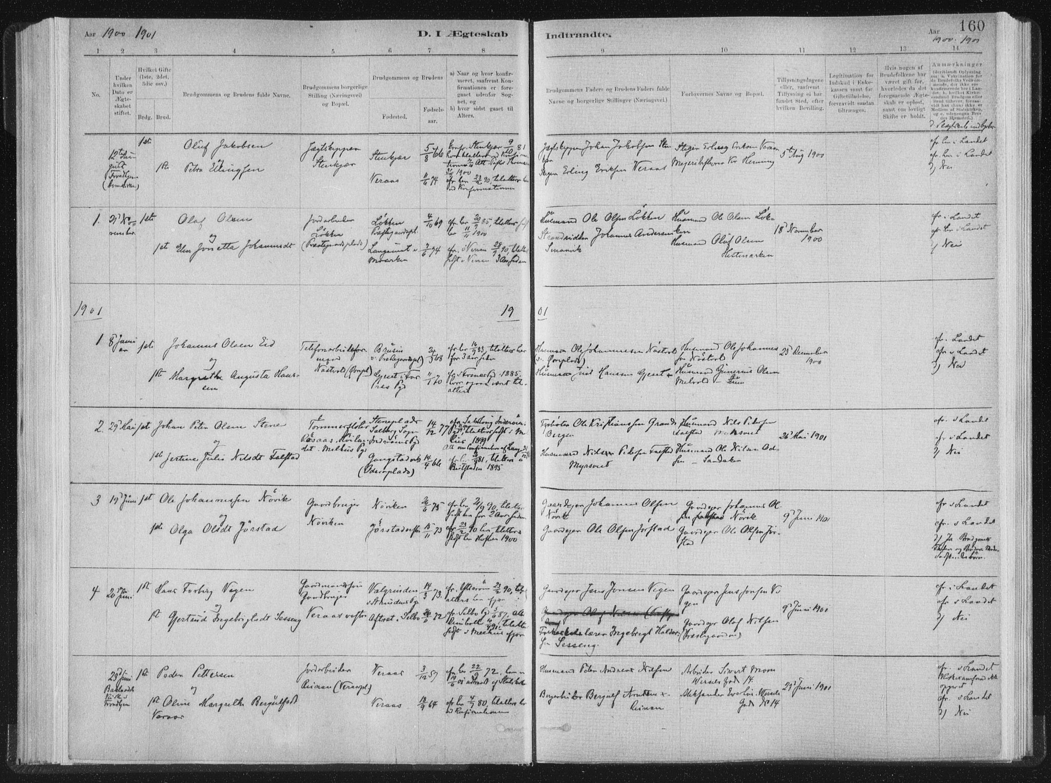 Ministerialprotokoller, klokkerbøker og fødselsregistre - Nord-Trøndelag, AV/SAT-A-1458/722/L0220: Parish register (official) no. 722A07, 1881-1908, p. 160