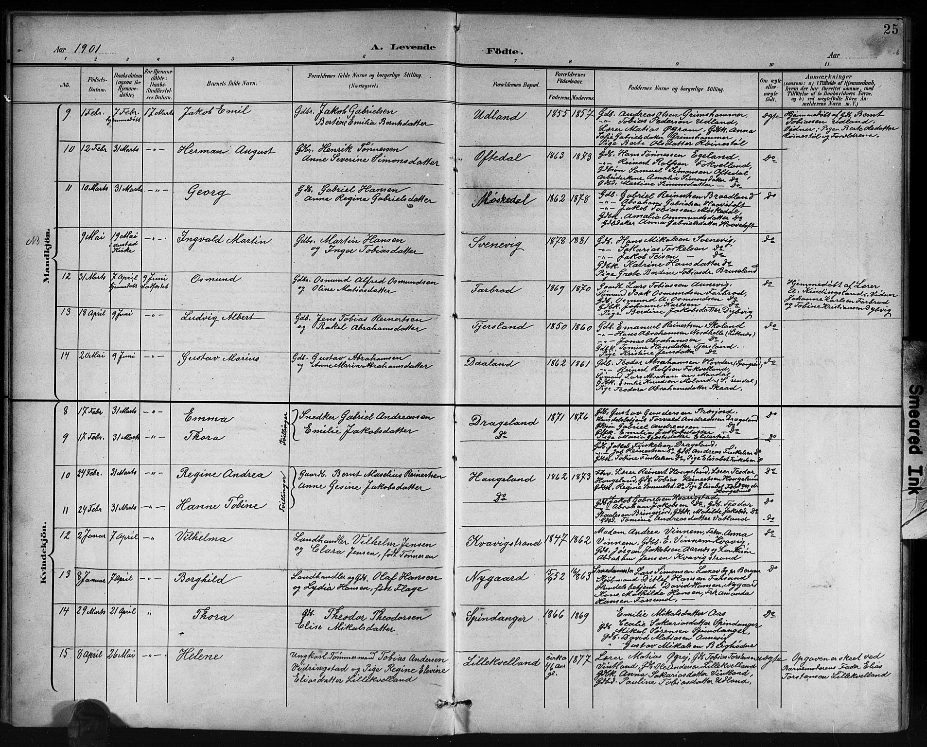 Lyngdal sokneprestkontor, AV/SAK-1111-0029/F/Fb/Fbc/L0005: Parish register (copy) no. B 5, 1897-1913, p. 25