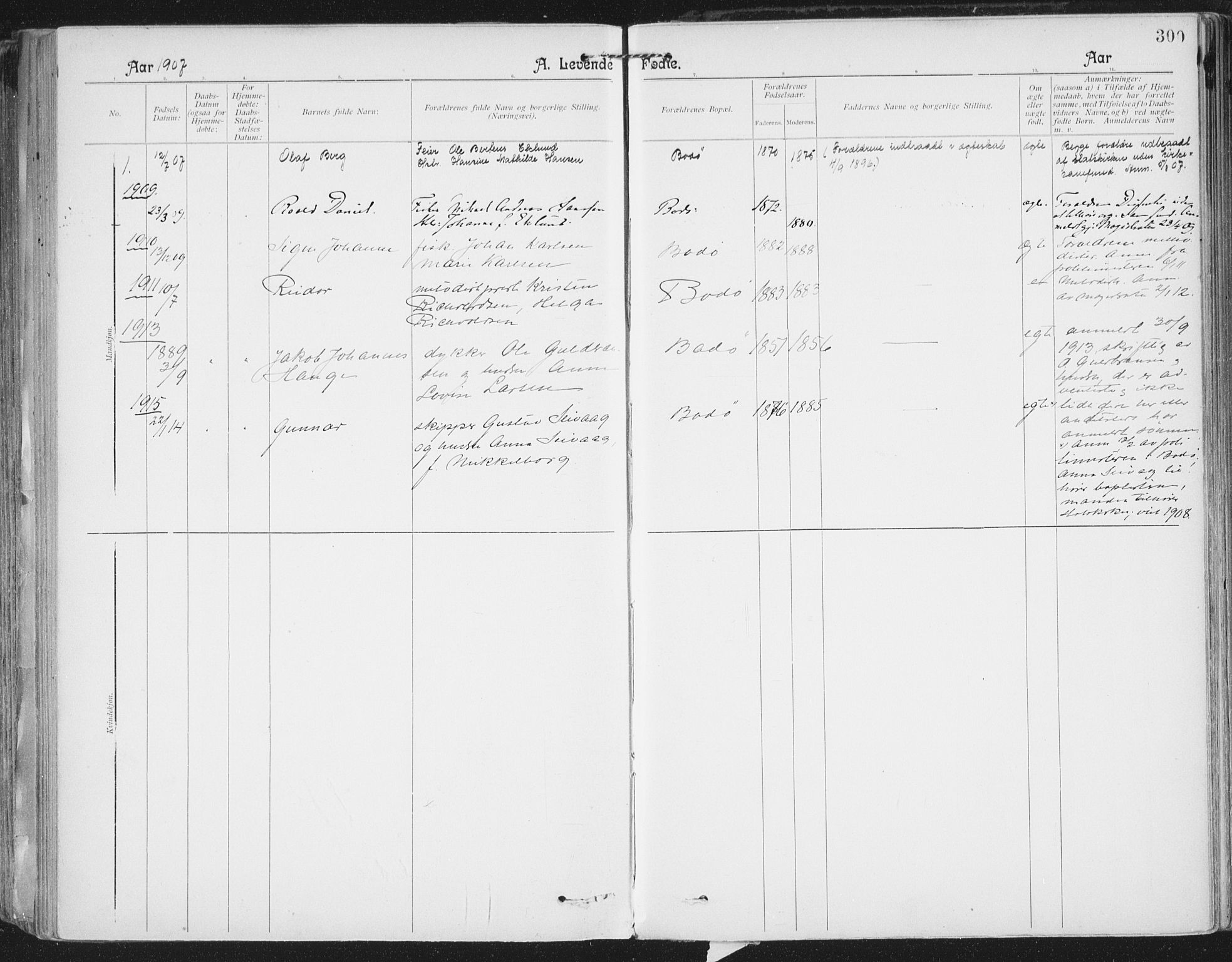Ministerialprotokoller, klokkerbøker og fødselsregistre - Nordland, SAT/A-1459/801/L0011: Parish register (official) no. 801A11, 1900-1916, p. 300