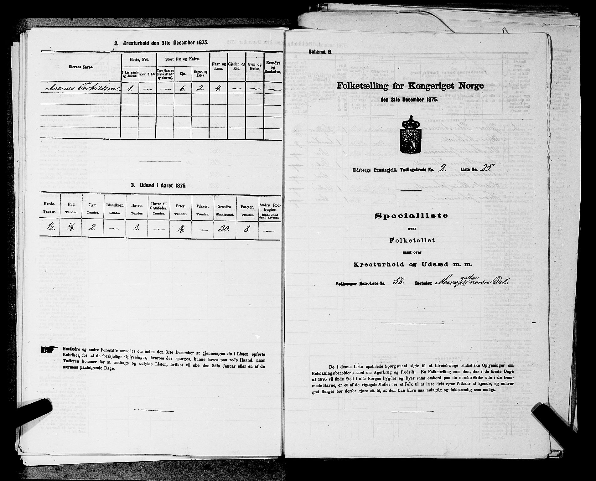 RA, 1875 census for 0125P Eidsberg, 1875, p. 407