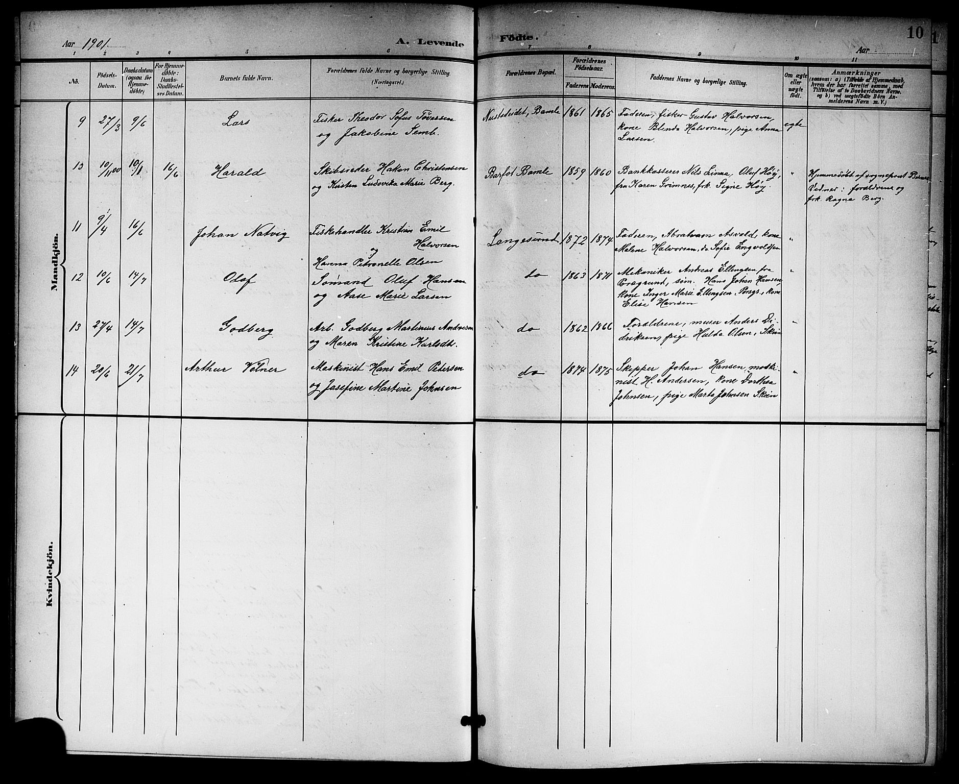 Langesund kirkebøker, SAKO/A-280/G/Ga/L0006: Parish register (copy) no. 6, 1899-1918, p. 10