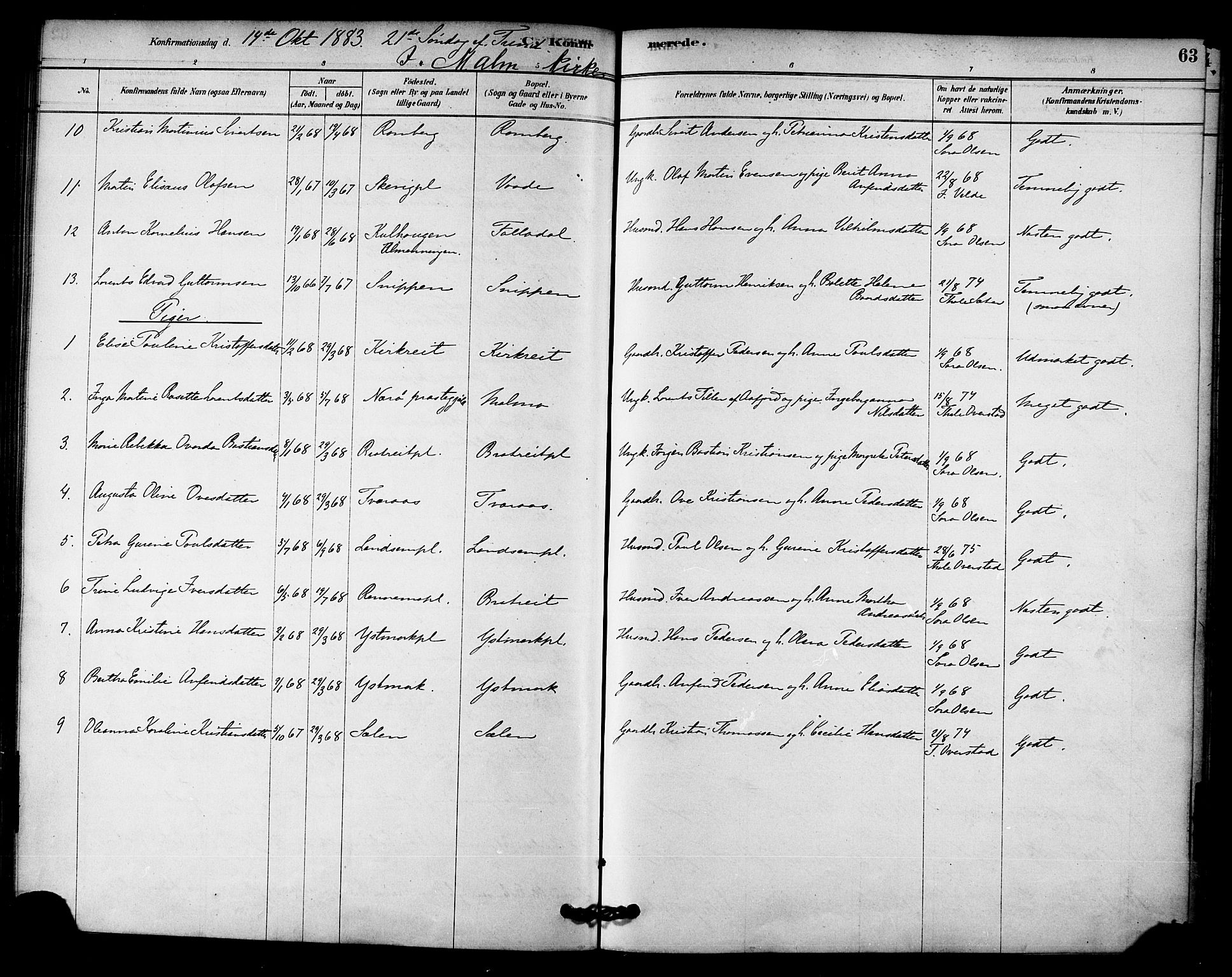 Ministerialprotokoller, klokkerbøker og fødselsregistre - Nord-Trøndelag, AV/SAT-A-1458/745/L0429: Parish register (official) no. 745A01, 1878-1894, p. 63