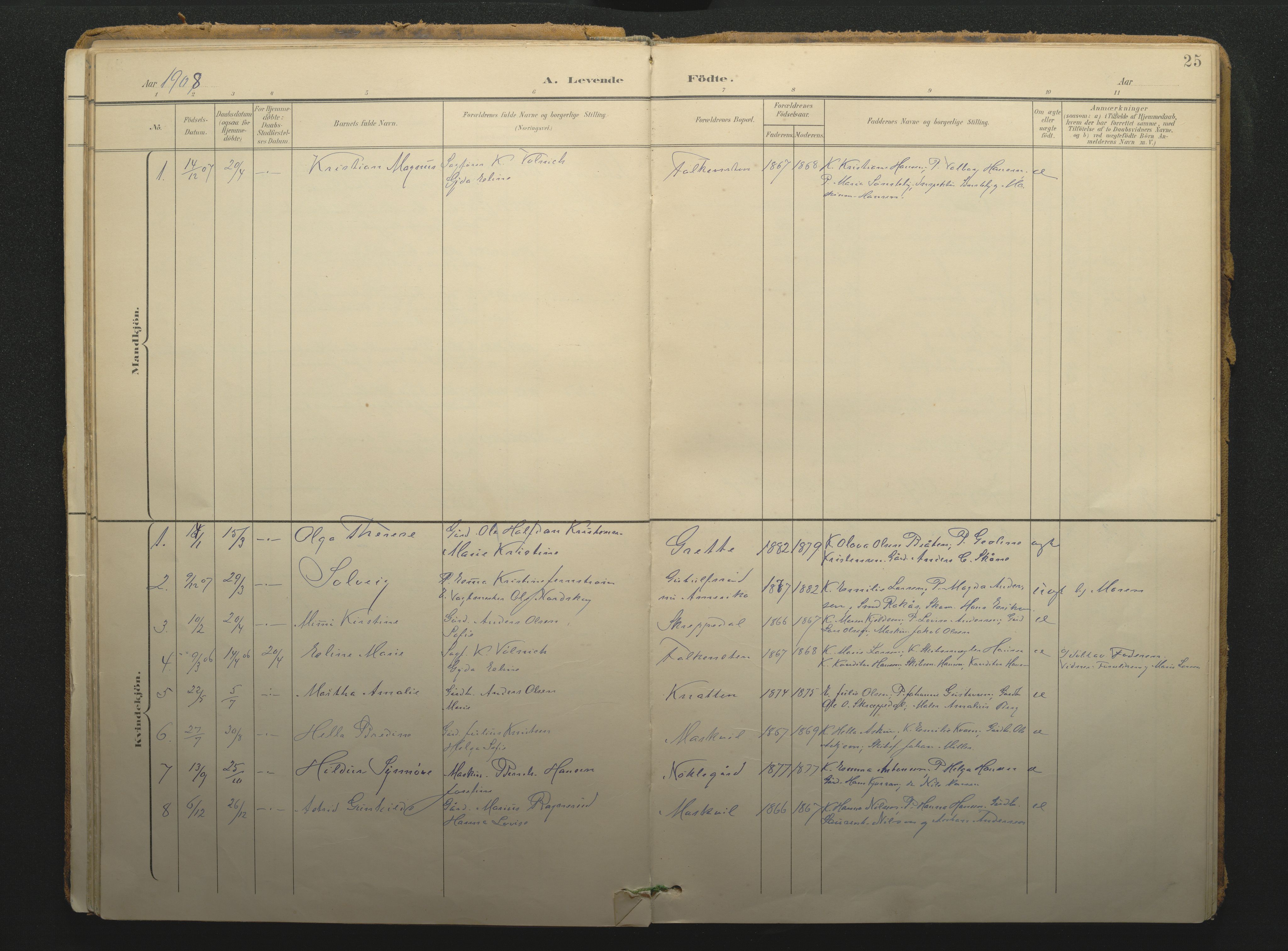 Borre kirkebøker, AV/SAKO-A-338/F/Fc/L0003: Parish register (official) no. III 3, 1896-1919, p. 25