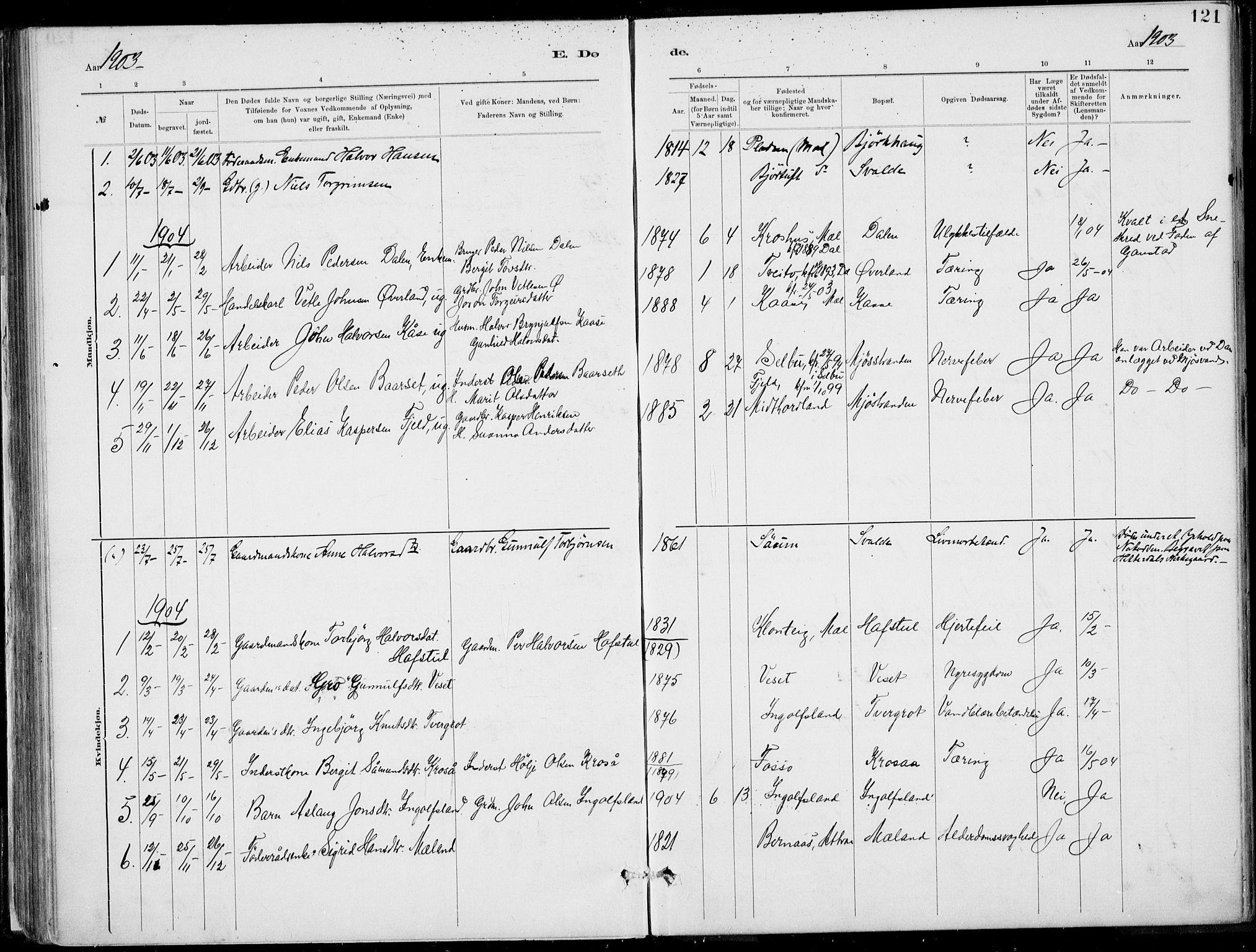 Rjukan kirkebøker, SAKO/A-294/F/Fa/L0001: Parish register (official) no. 1, 1878-1912, p. 121