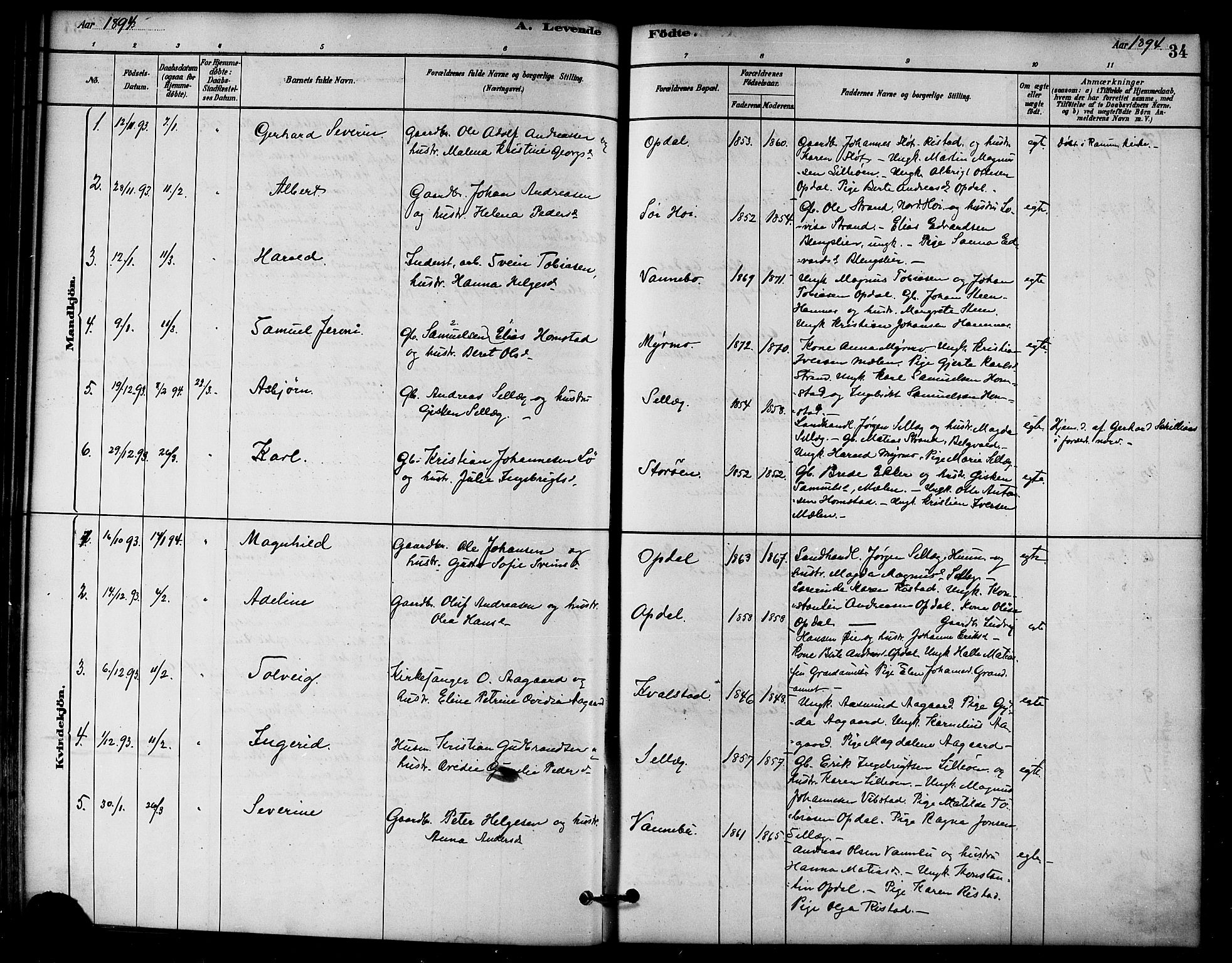 Ministerialprotokoller, klokkerbøker og fødselsregistre - Nord-Trøndelag, SAT/A-1458/766/L0563: Parish register (official) no. 767A01, 1881-1899, p. 34