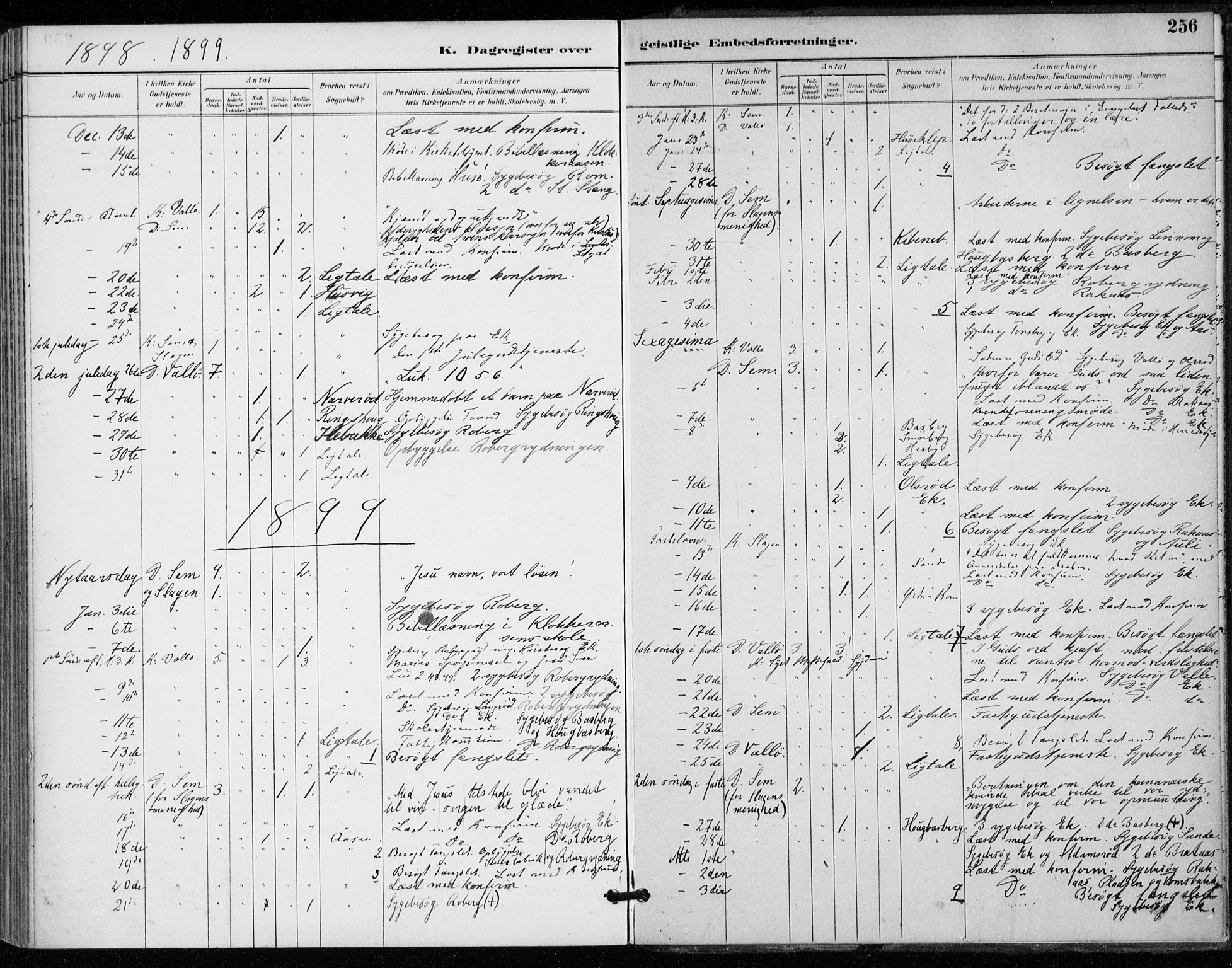 Sem kirkebøker, AV/SAKO-A-5/F/Fa/L0011: Parish register (official) no. I 11, 1888-1904, p. 256