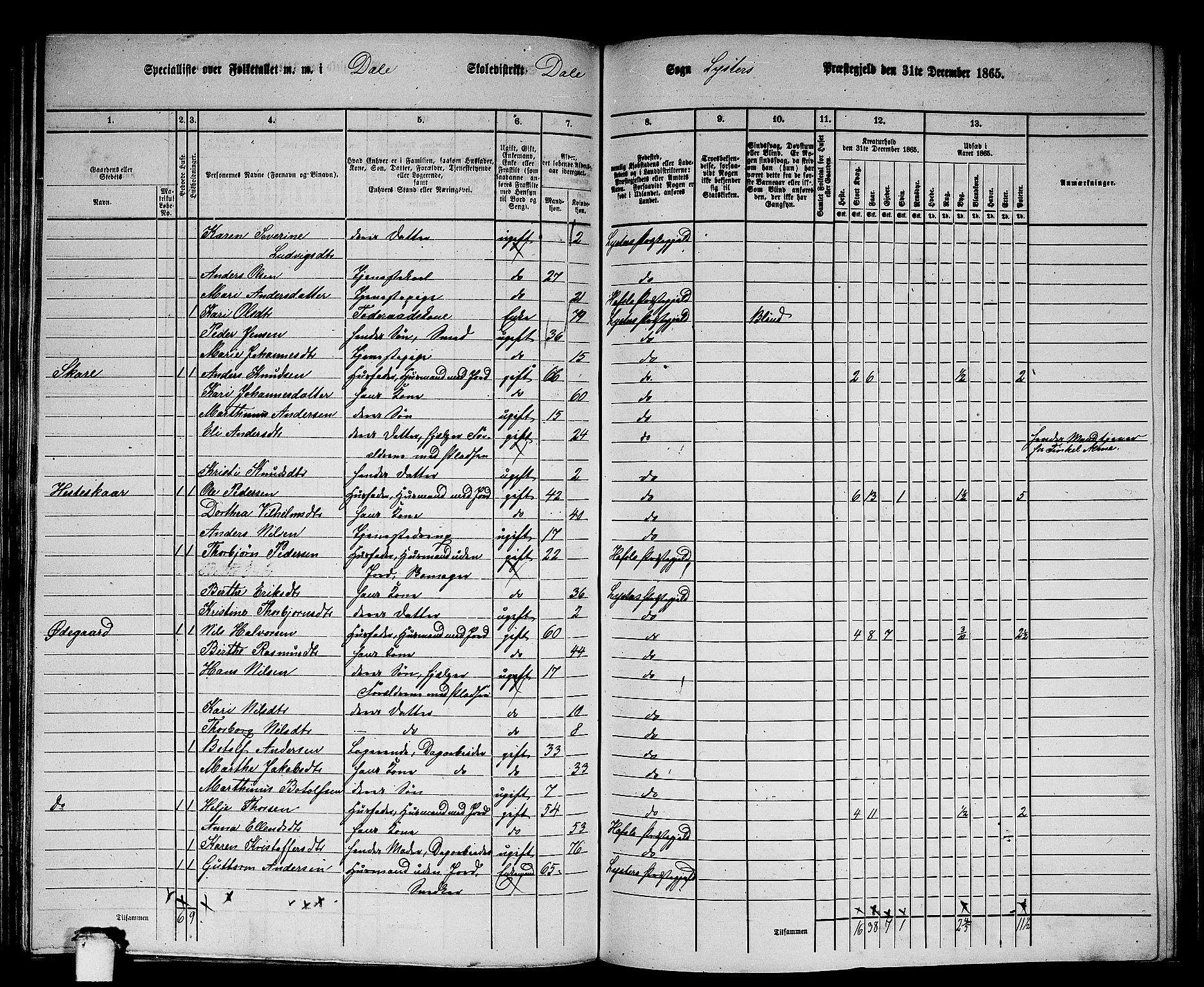 RA, 1865 census for Luster, 1865, p. 98