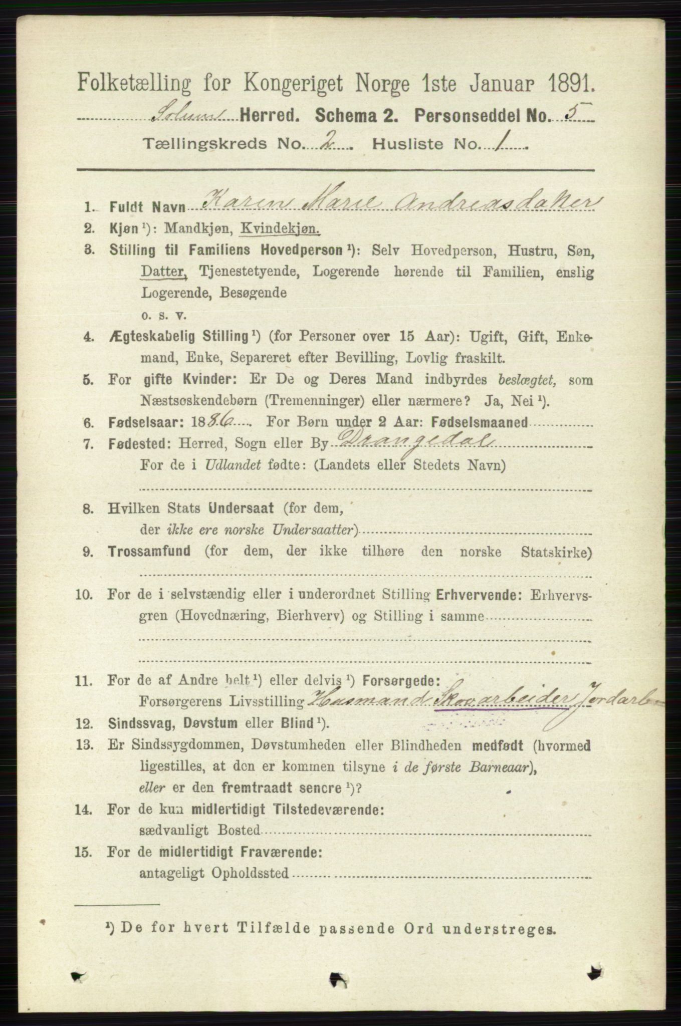 RA, 1891 census for 0818 Solum, 1891, p. 121