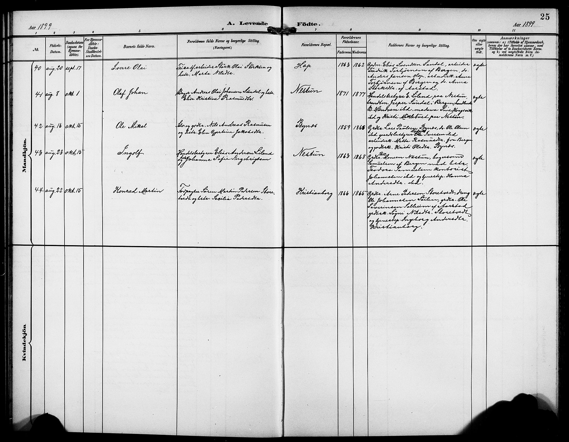 Birkeland Sokneprestembete, AV/SAB-A-74601/H/Hab: Parish register (copy) no. A 5, 1897-1905, p. 25