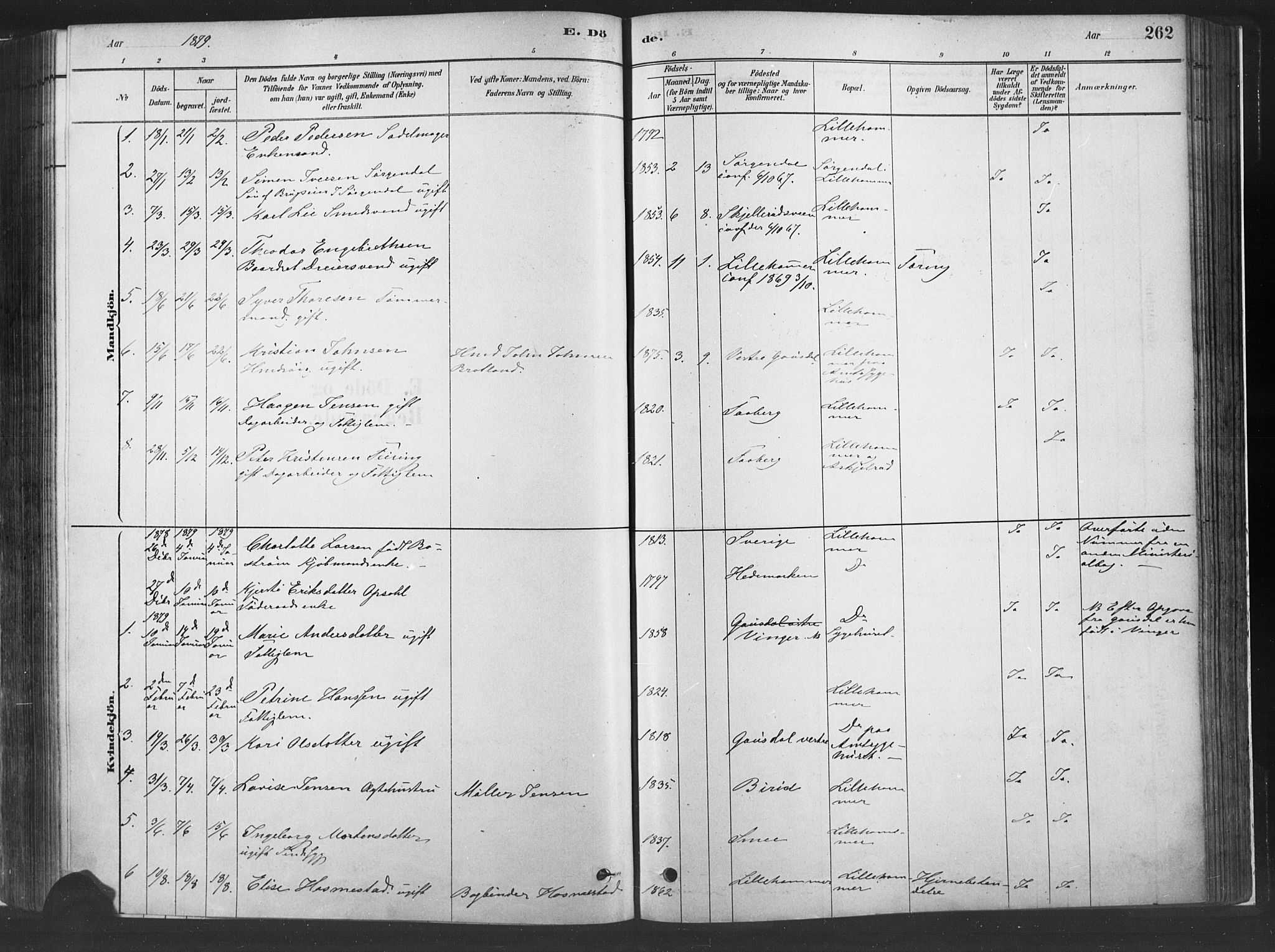 Fåberg prestekontor, SAH/PREST-086/H/Ha/Haa/L0010: Parish register (official) no. 10, 1879-1900, p. 262