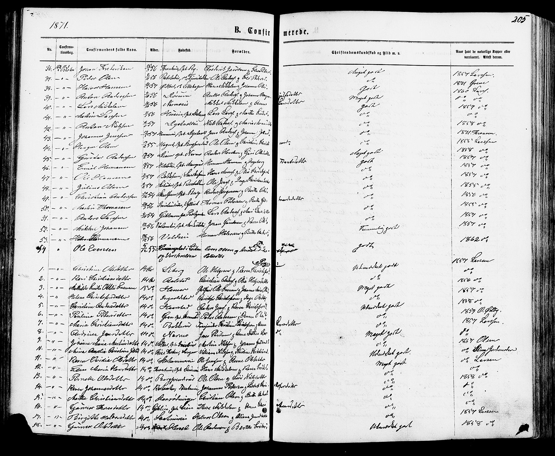 Vang prestekontor, Hedmark, SAH/PREST-008/H/Ha/Haa/L0015: Parish register (official) no. 15, 1871-1885, p. 205