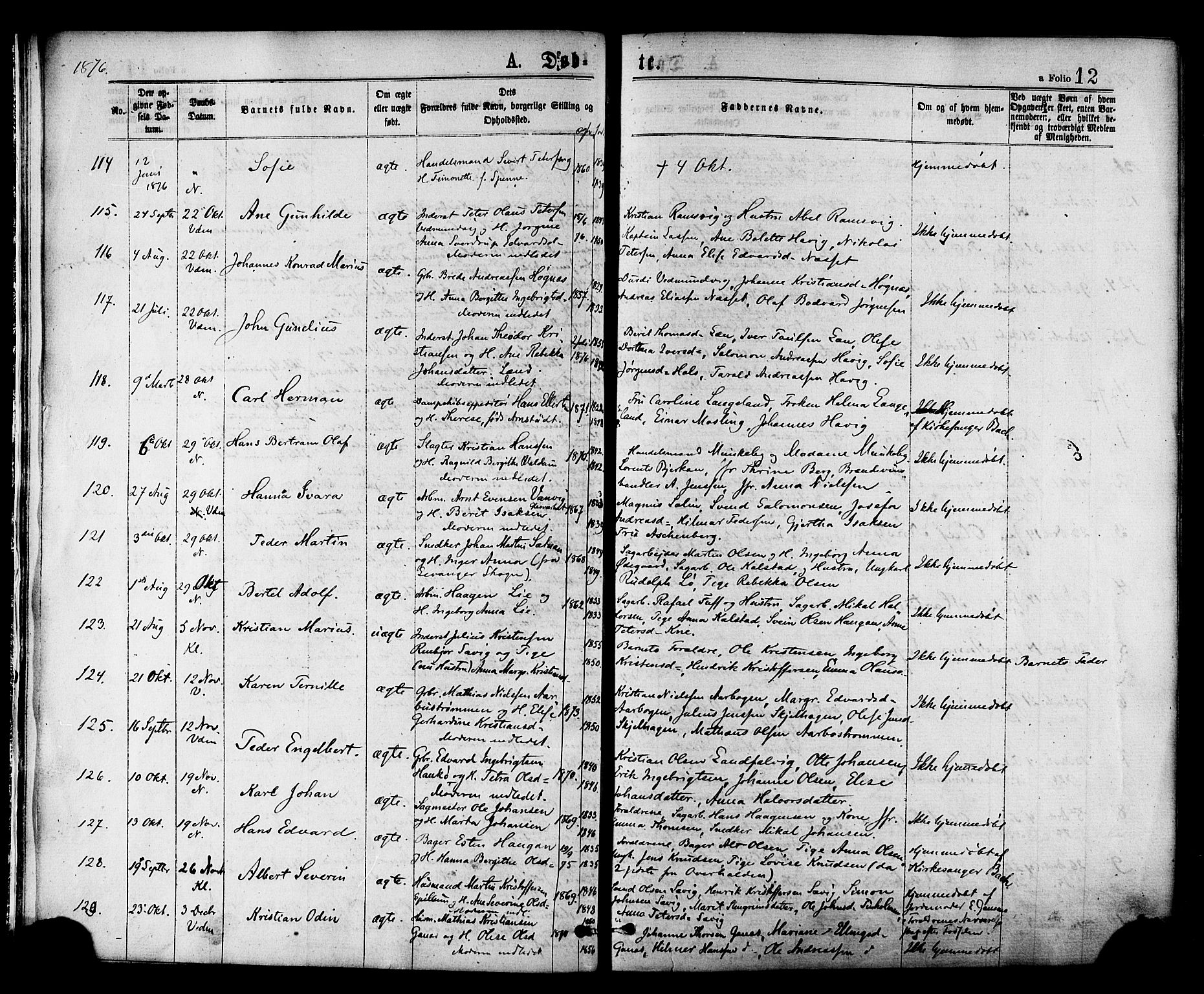 Ministerialprotokoller, klokkerbøker og fødselsregistre - Nord-Trøndelag, SAT/A-1458/768/L0572: Parish register (official) no. 768A07, 1874-1886, p. 12