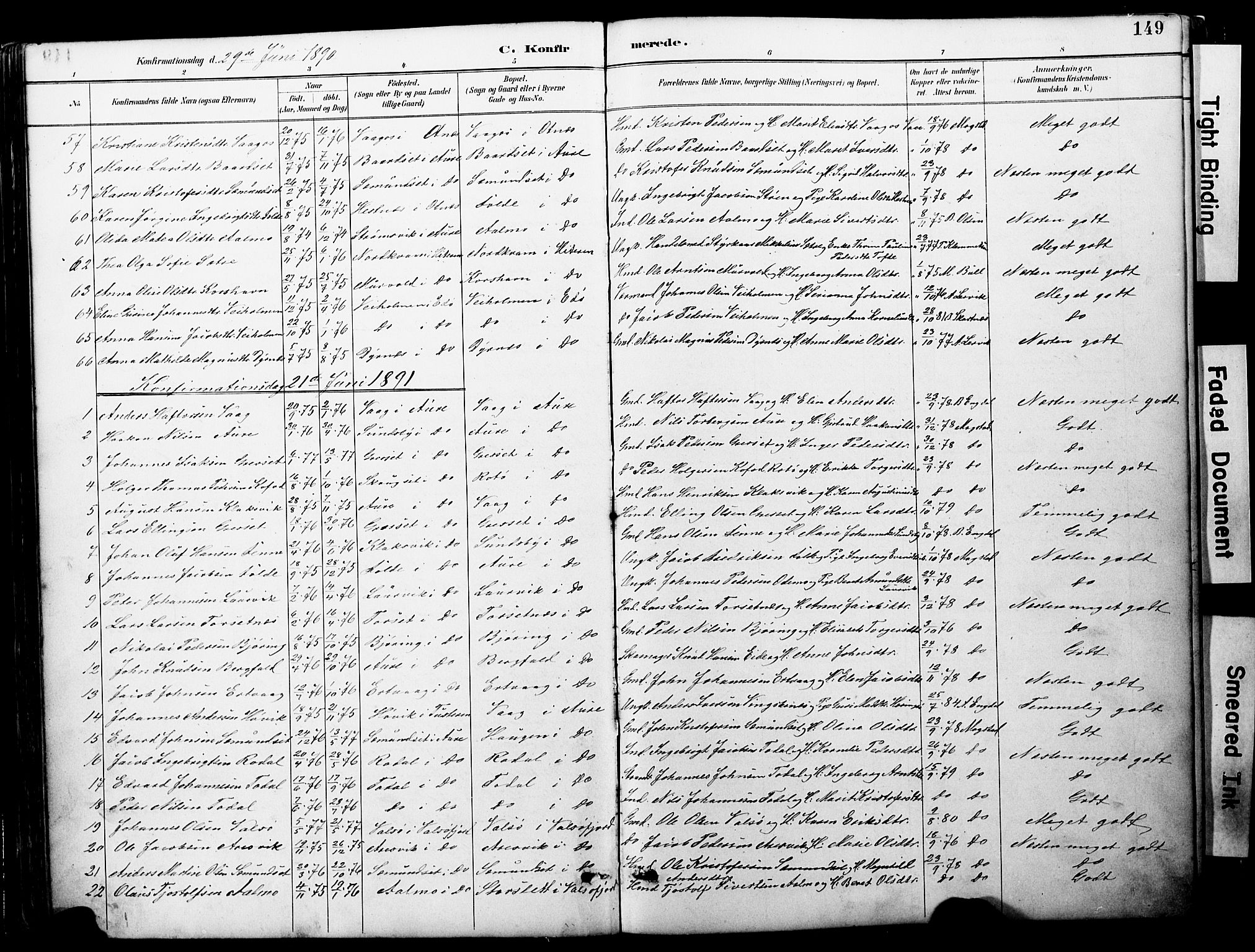 Ministerialprotokoller, klokkerbøker og fødselsregistre - Møre og Romsdal, AV/SAT-A-1454/578/L0907: Parish register (official) no. 578A06, 1887-1904, p. 149