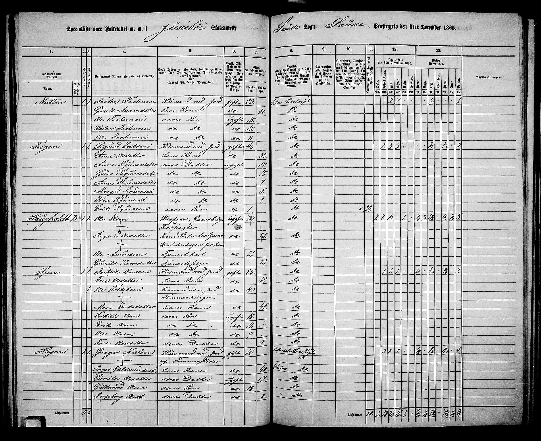 RA, 1865 census for Sauherad, 1865, p. 64