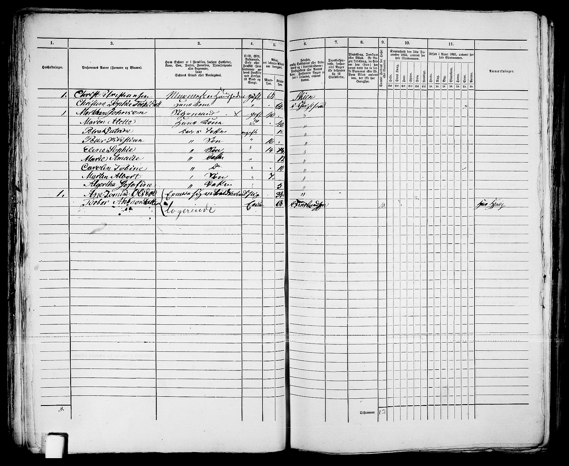 RA, 1865 census for Kristiansand, 1865, p. 1106