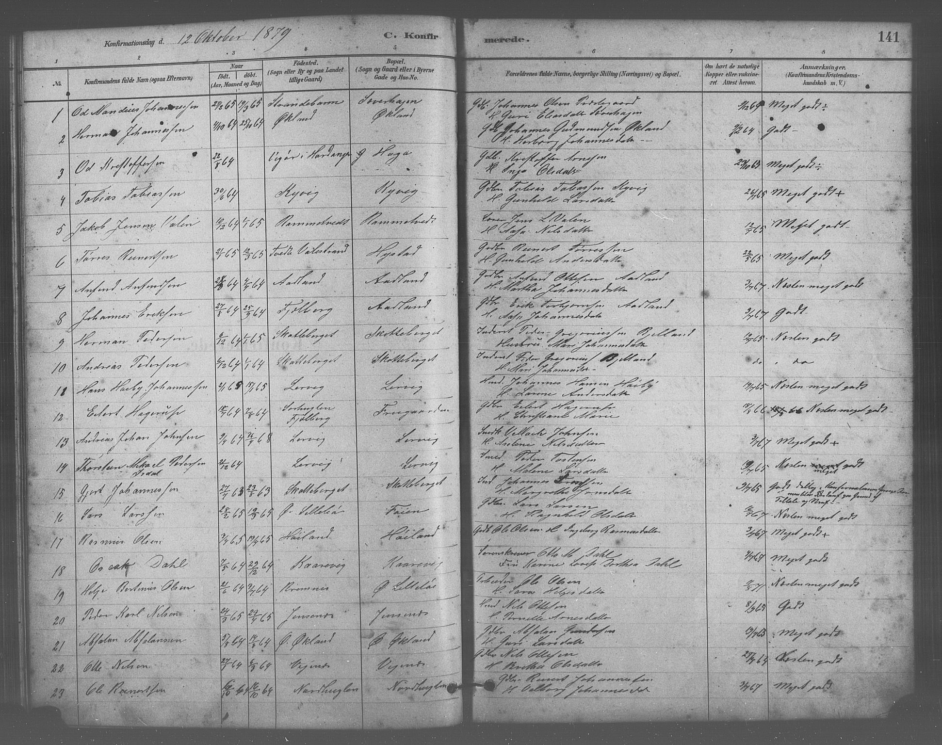 Stord sokneprestembete, AV/SAB-A-78201/H/Hab: Parish register (copy) no. A 2, 1879-1909, p. 141