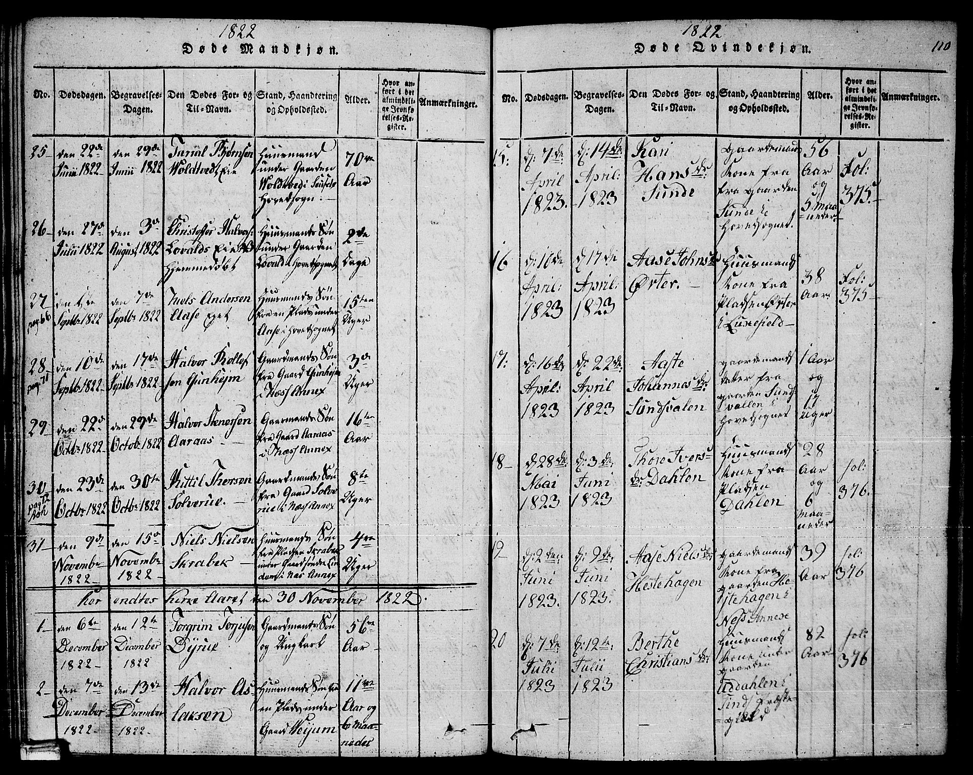 Sauherad kirkebøker, SAKO/A-298/F/Fa/L0005: Parish register (official) no. I 5, 1815-1829, p. 110